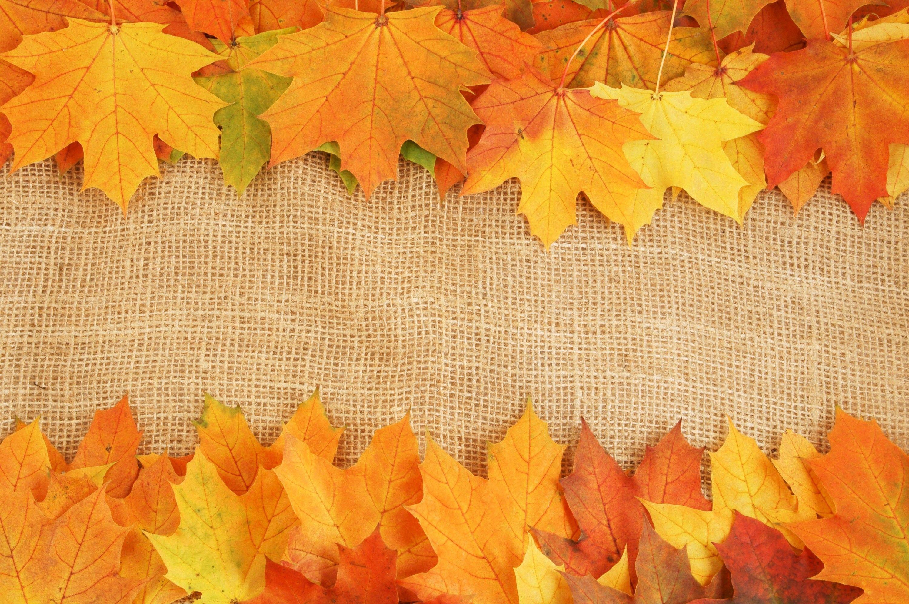 Free Powerpoint Templates Fall Leaves
