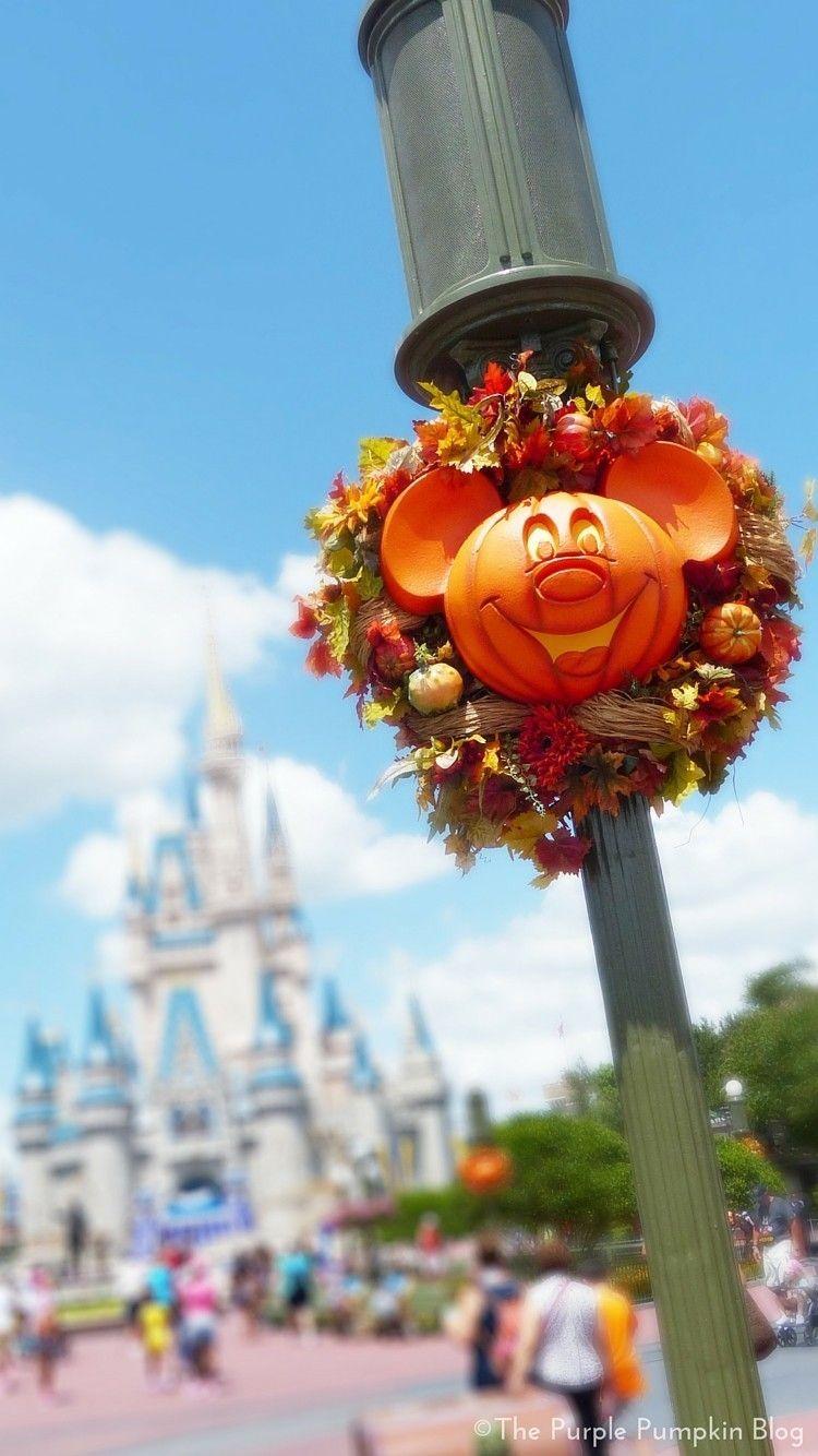 Disney Fall iPhone Wallpaper to Download for Free