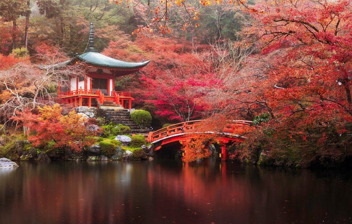 Japan Autumn Wallpapers - Top Free Japan Autumn Backgrounds ...