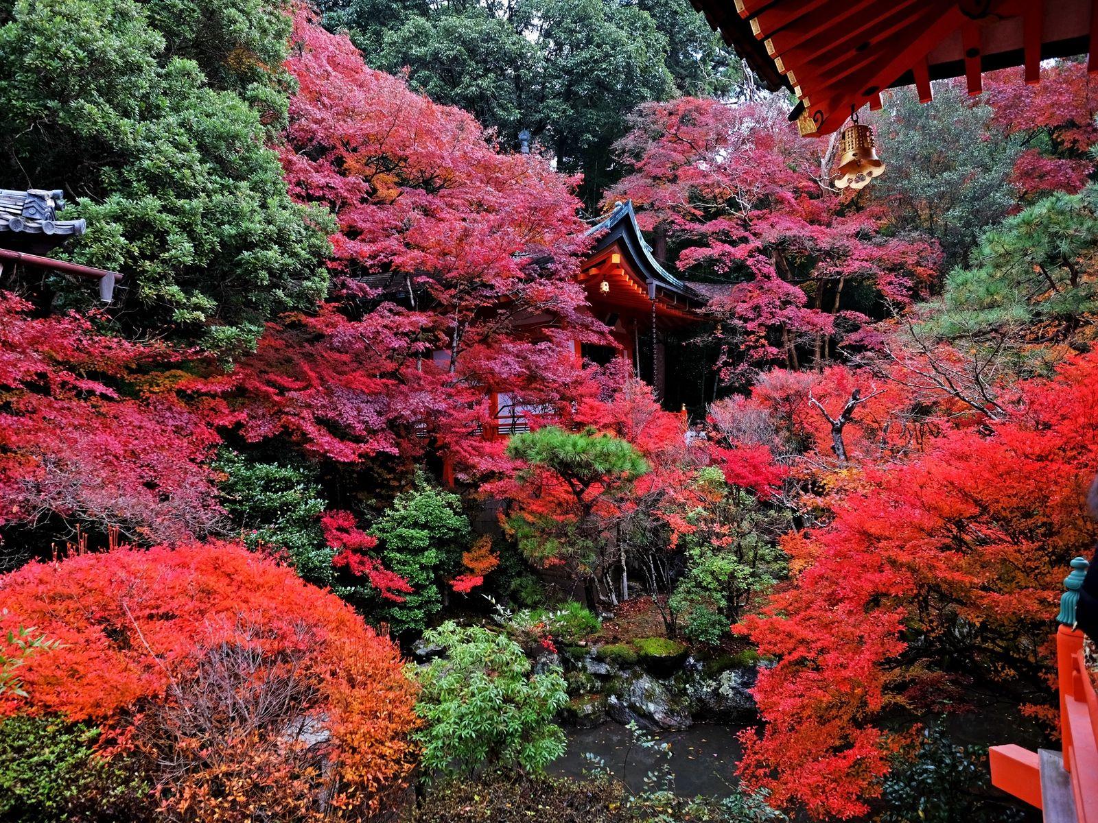 1600x1200 Download wallpaper 1600x1200 temple, autumn, japan, kyoto