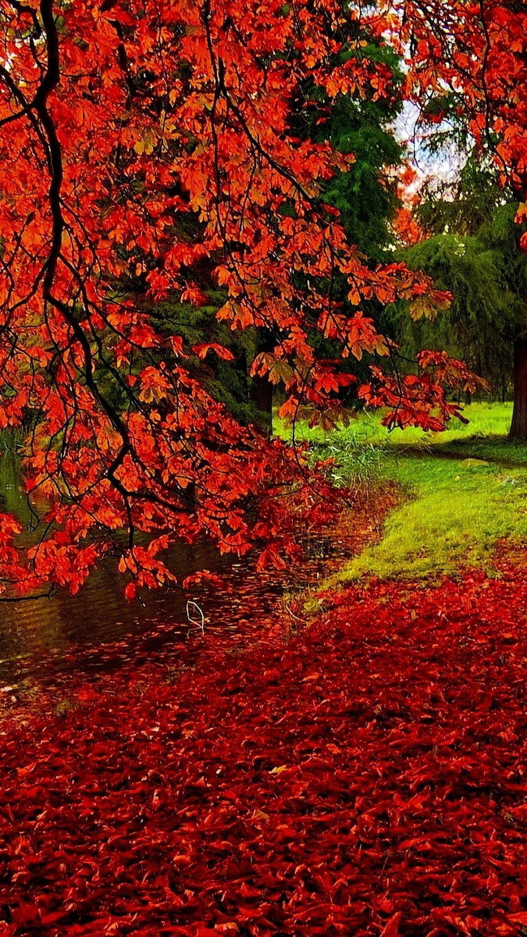 Romantic Autumn Wallpapers - Top Free Romantic Autumn Backgrounds ...