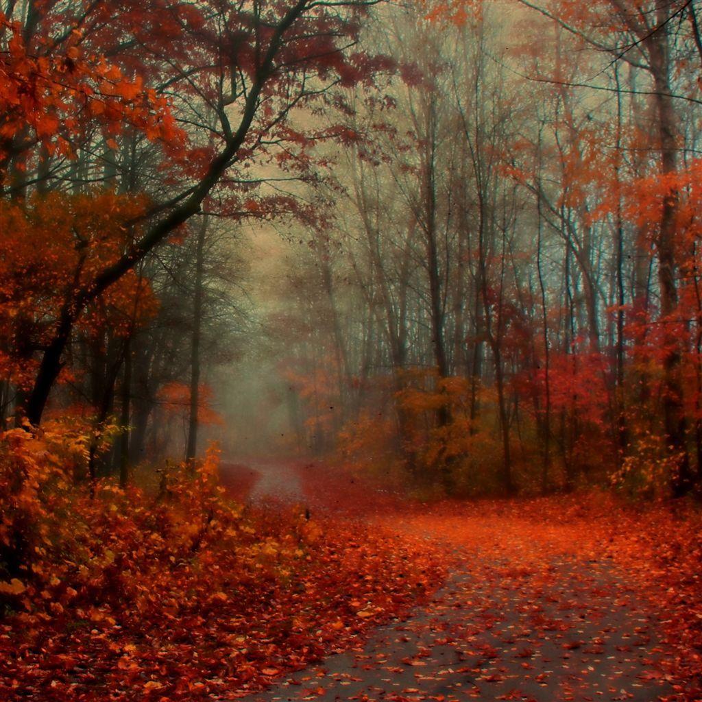 1024x1024 Romantic Autumn #iPad #Air #Wallpaper Download
