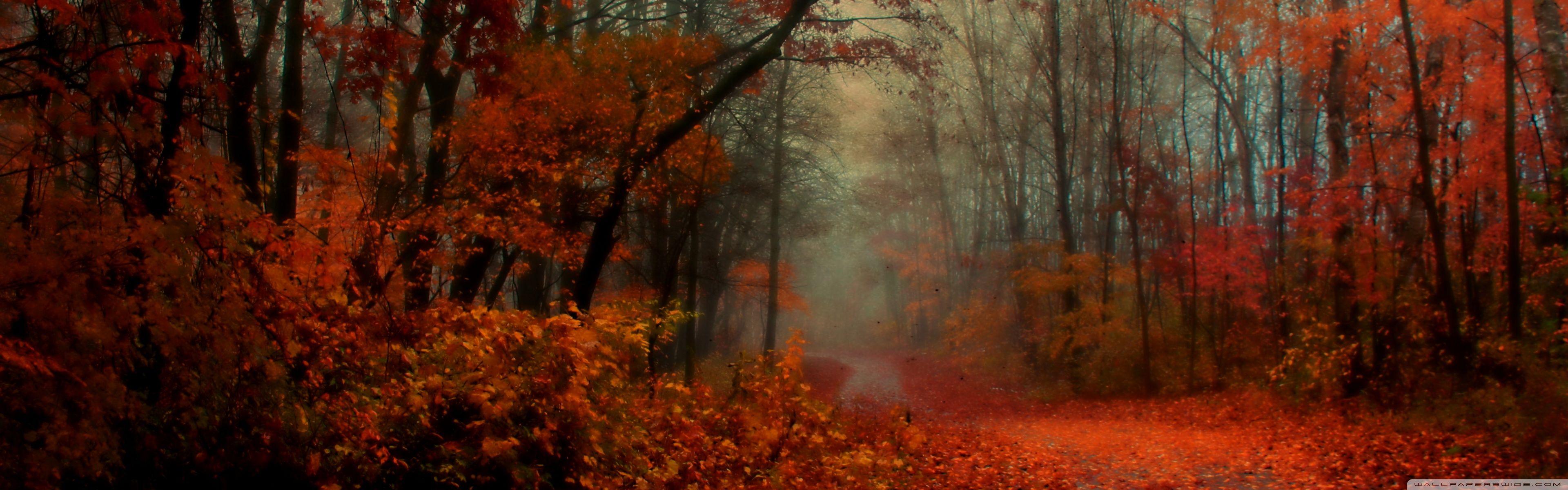 3840x1200 Romantic Autumn ❤ 4K HD Desktop Wallpaper for 4K Ultra HD