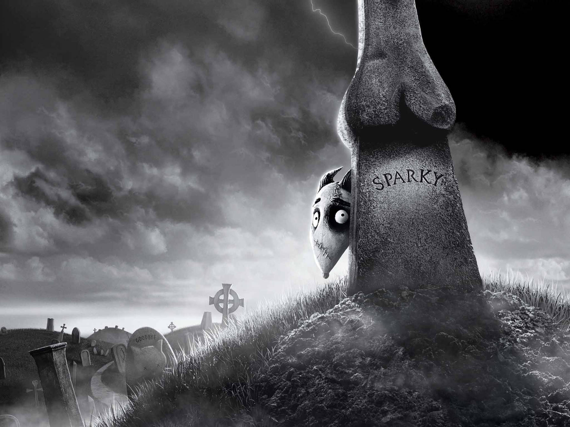 1920x1440 Download Frankenweenie Sparky Behind Tombstone Wallpaper