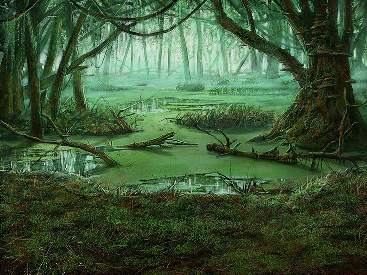 Swamp Wallpapers - Top Free Swamp Backgrounds - WallpaperAccess