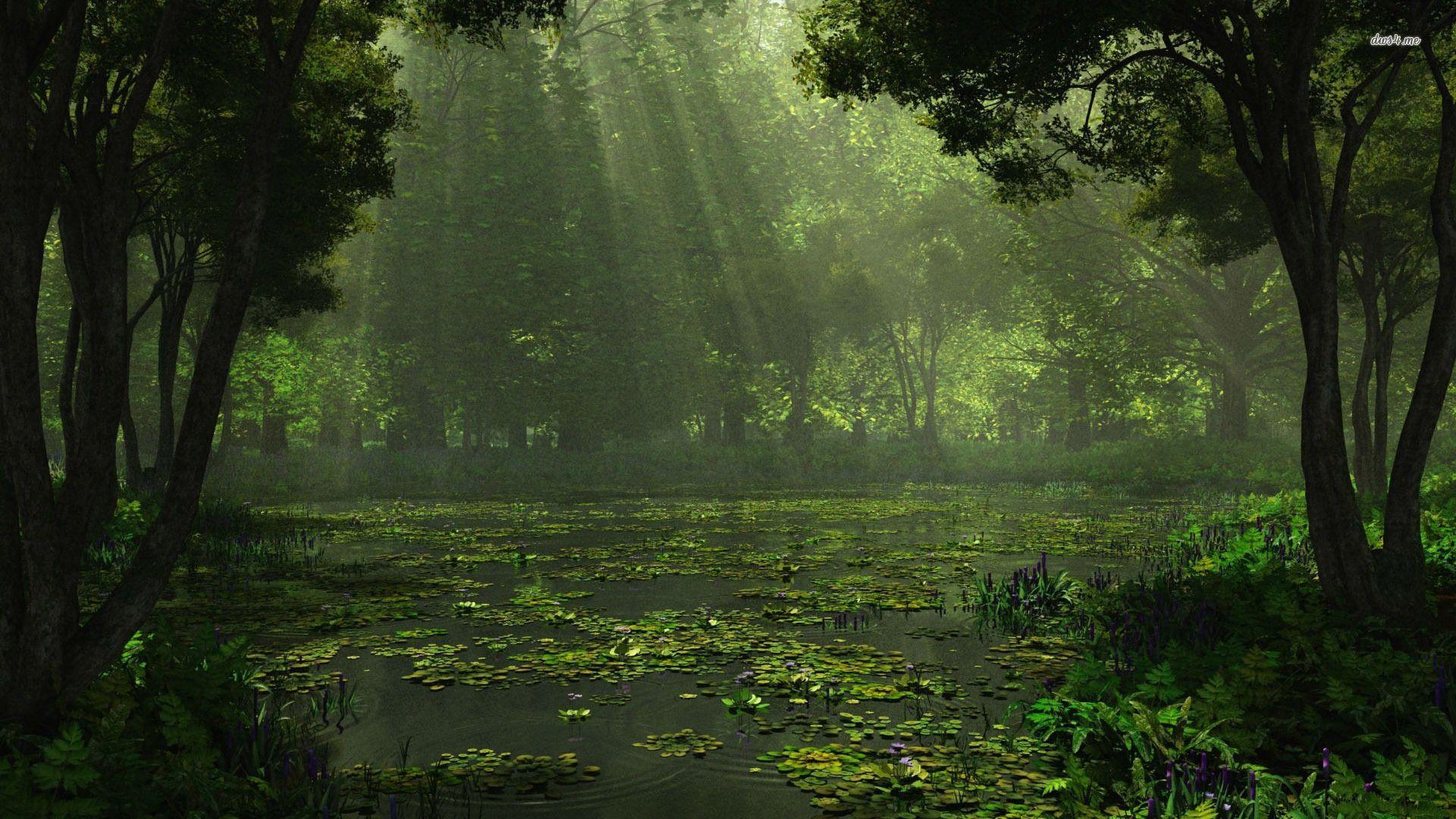 1920x1080 Top Super High Quality Swamp Image