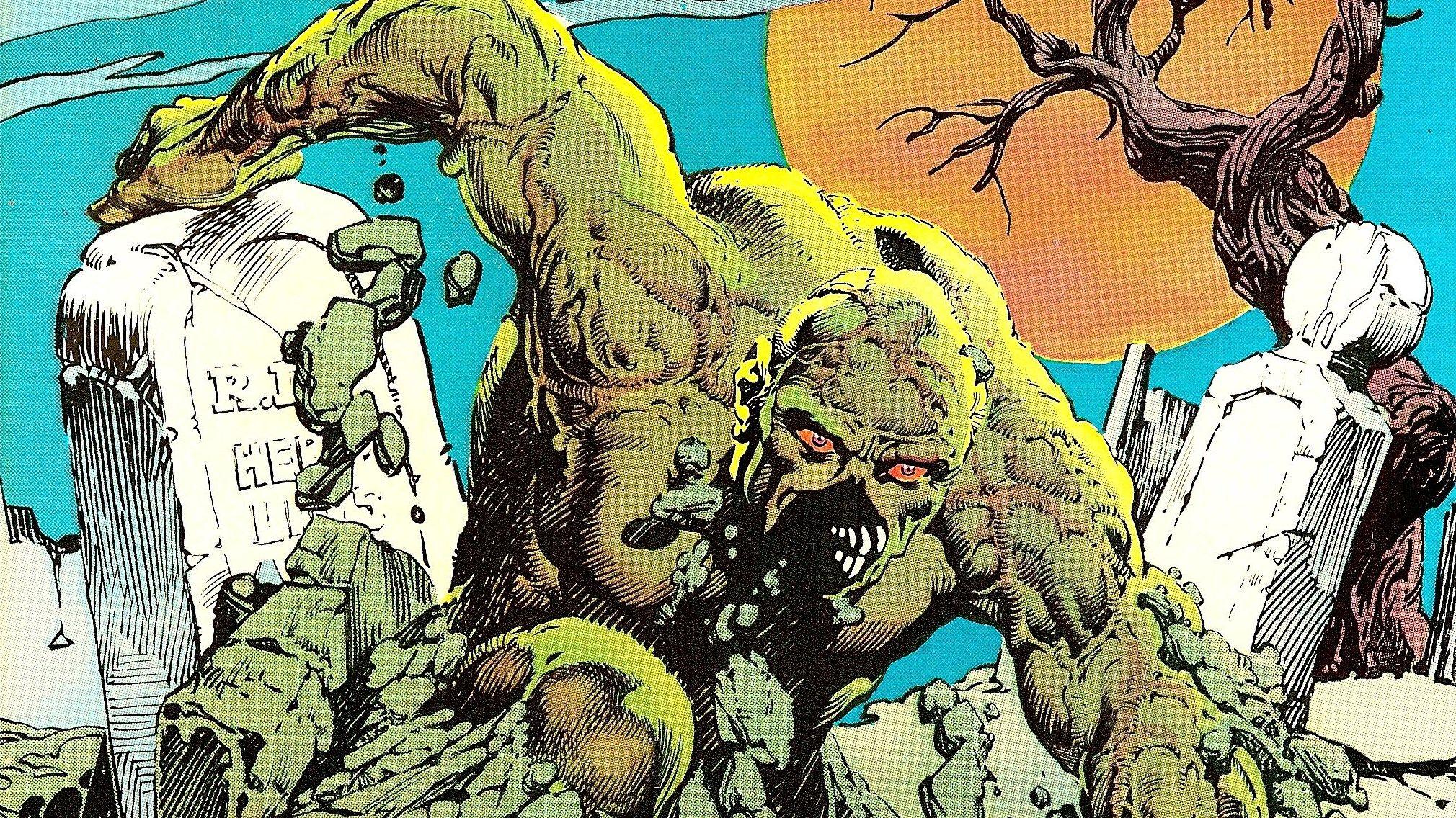 2020x1136 x computer wallpaper for swamp