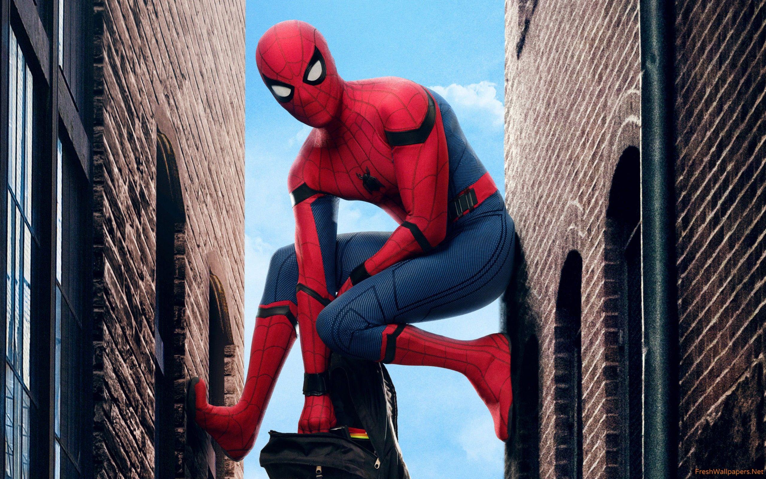 2560x1600 Spiderman Homecoming wallpaper
