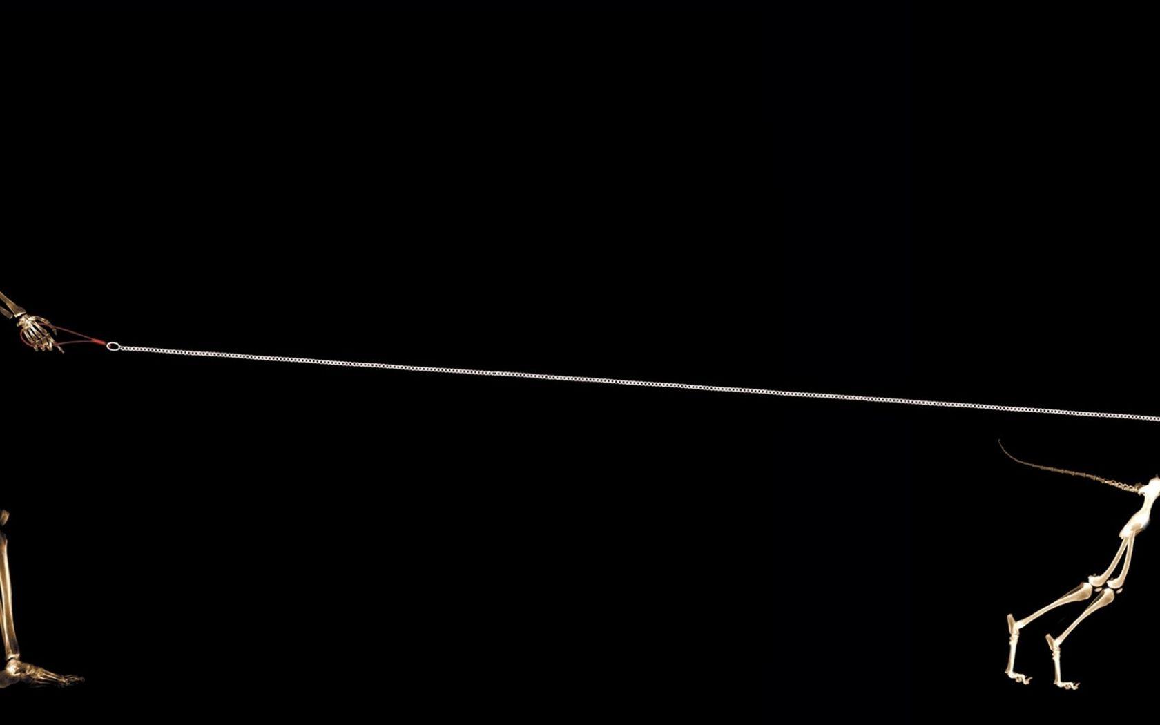 Creative Dual Monitor Wallpapers - Top Free Creative Dual Monitor