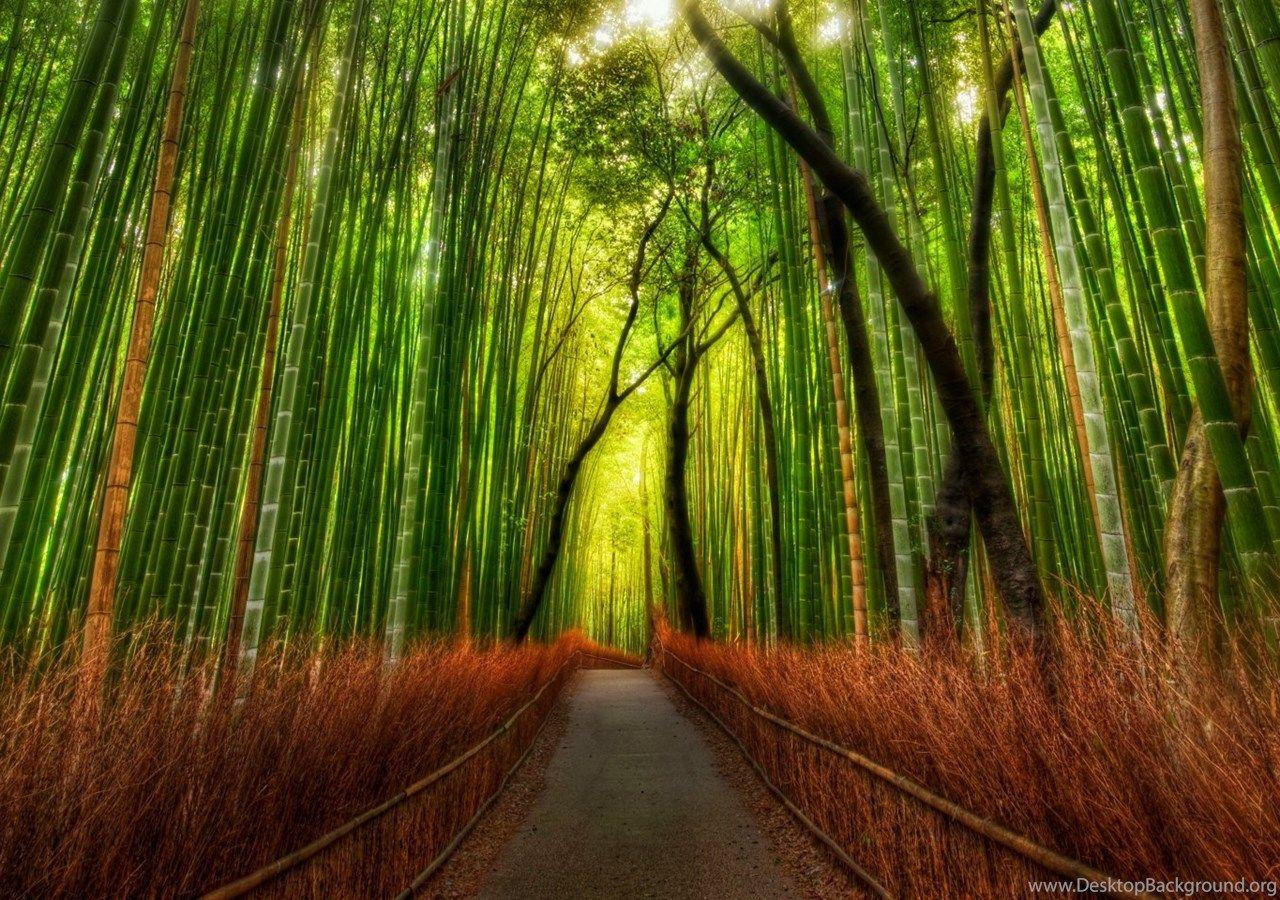 1280x900 Dual Monitor Nature Wallpaper « Desktop HD Background