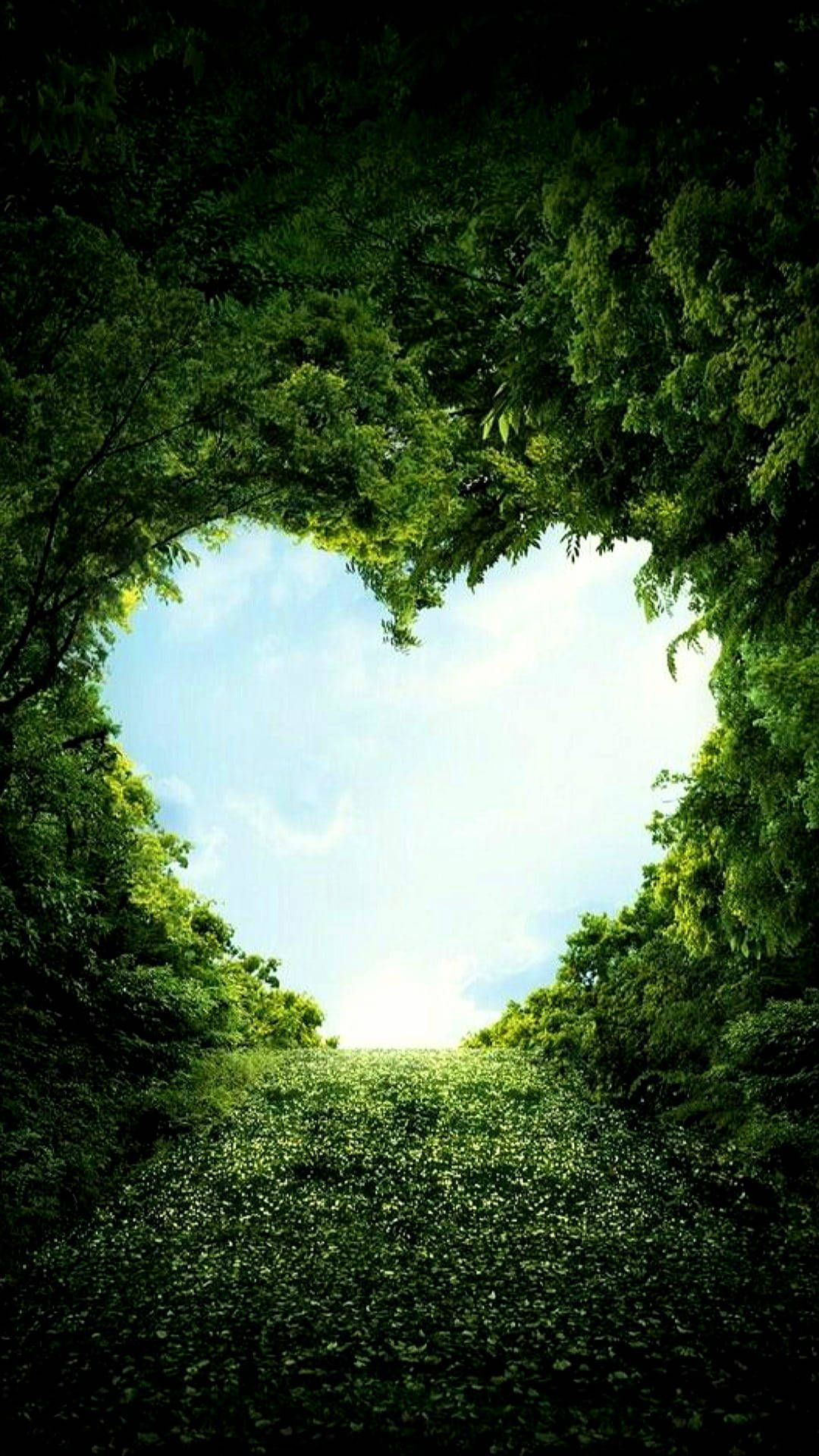 1080x1920 Download Love Nature With Heart Shape Wallpaper