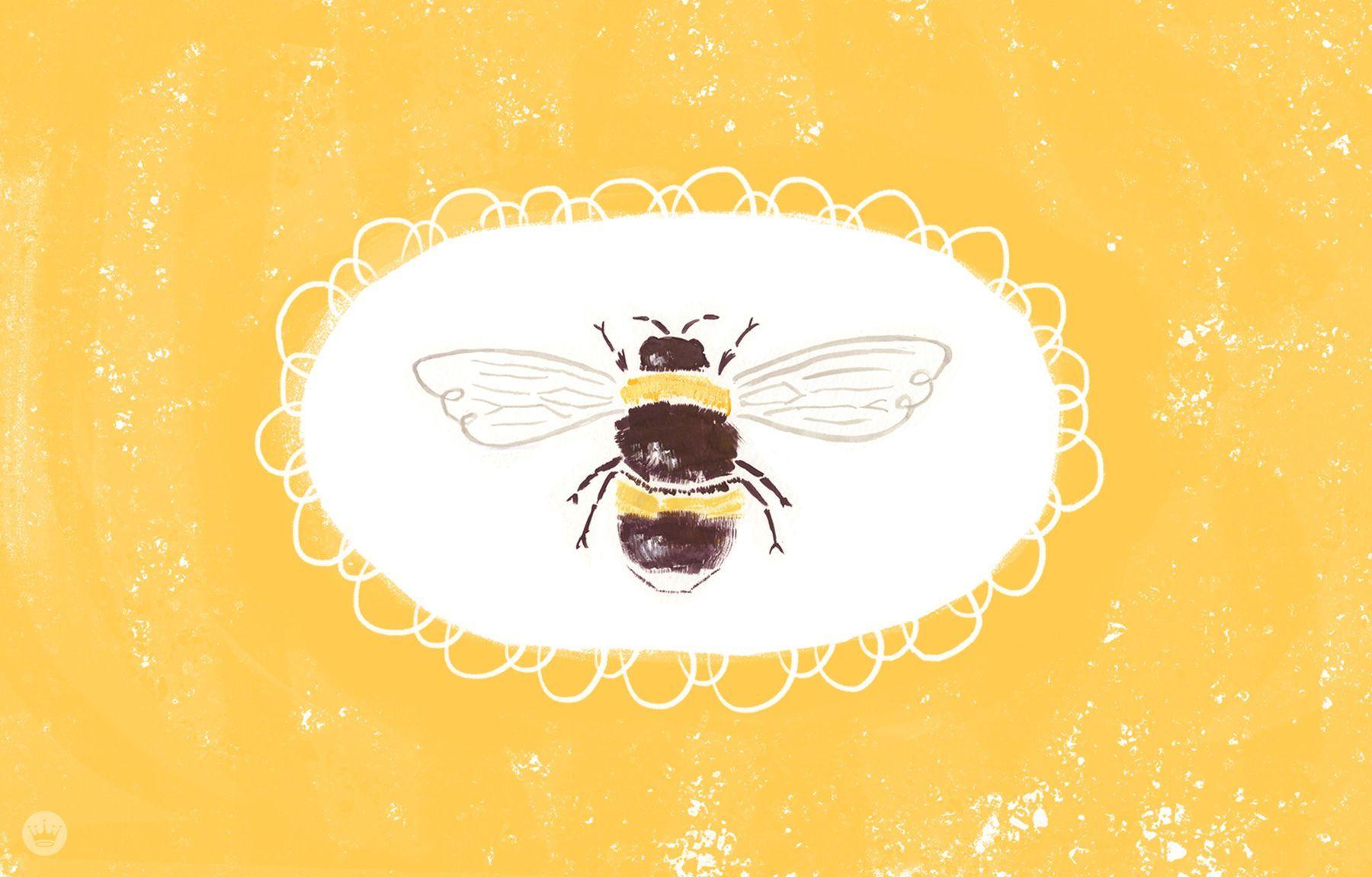 Bee Wallpaper  Cute simple wallpapers Orange wallpaper Cute wallpapers