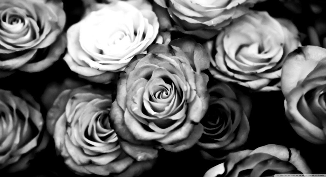 1270x691 Black And White Desktop Wallpaper