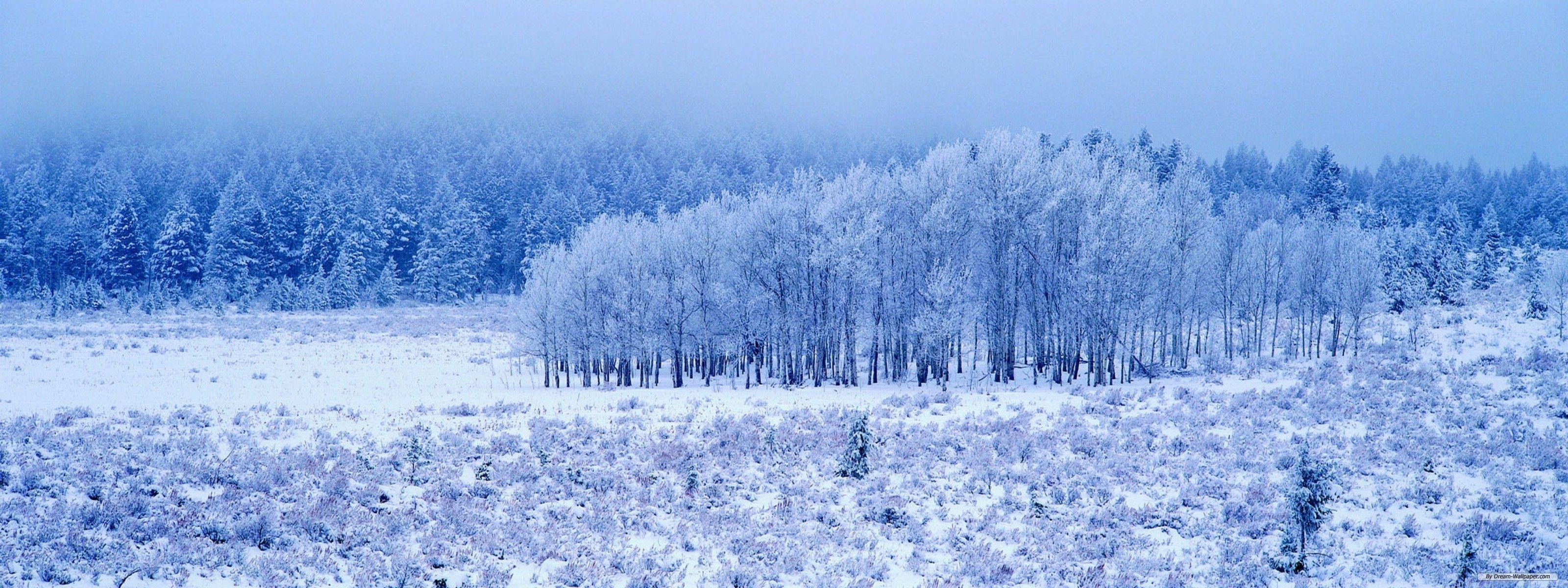 3200x1200 Dual monitor wallpaper free Gallery