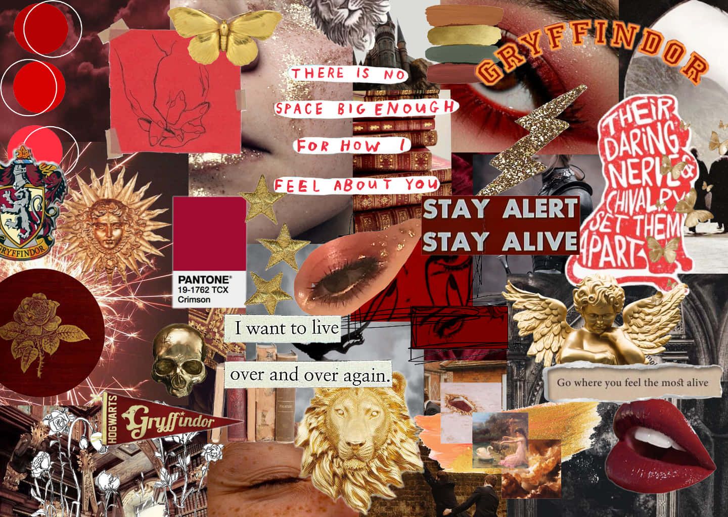 1440x1024 Download Embrace the Gryffindor spirit! Wallpaper