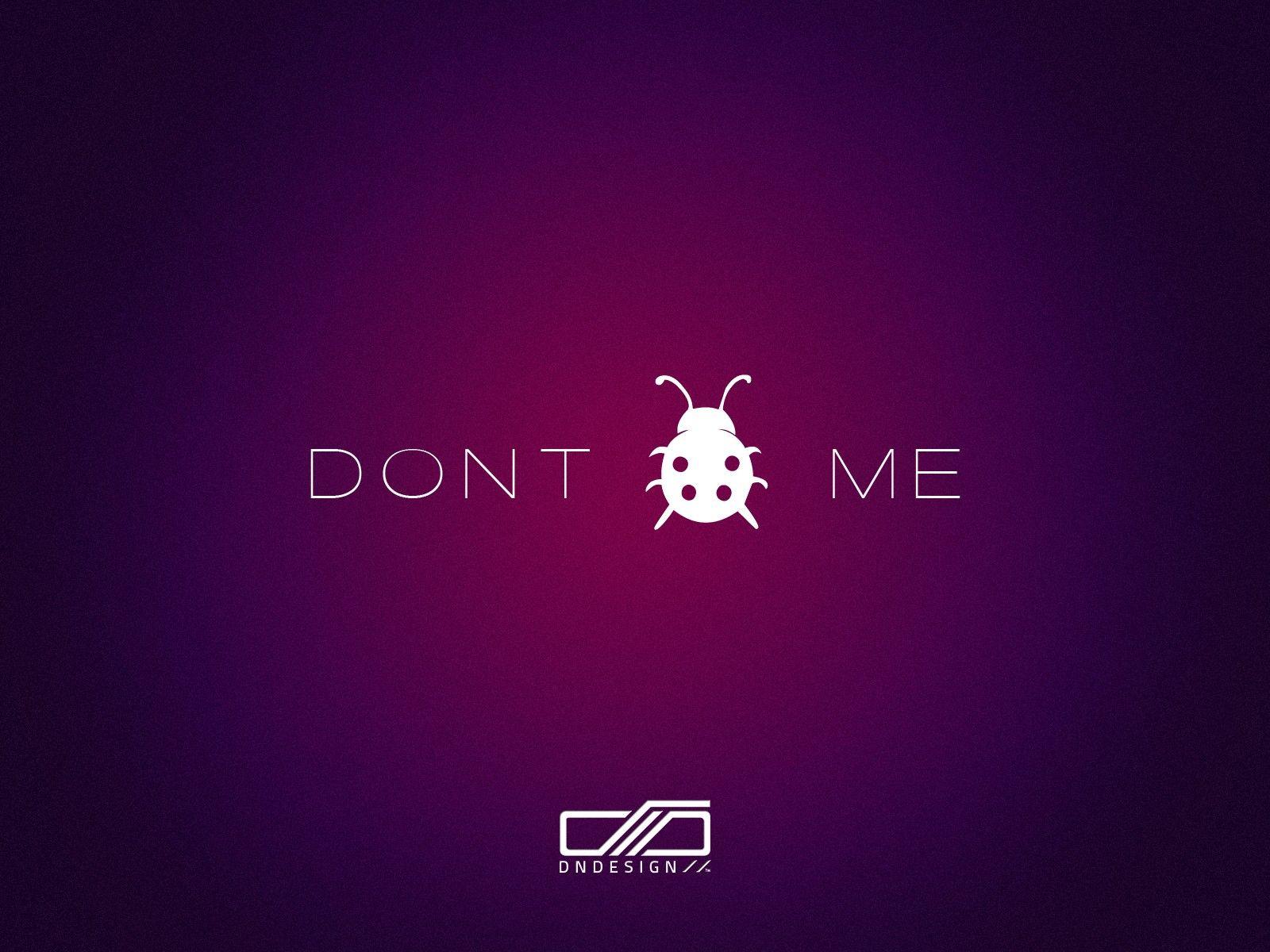 1600x1200 Bug, DNDESIGN wallpaper