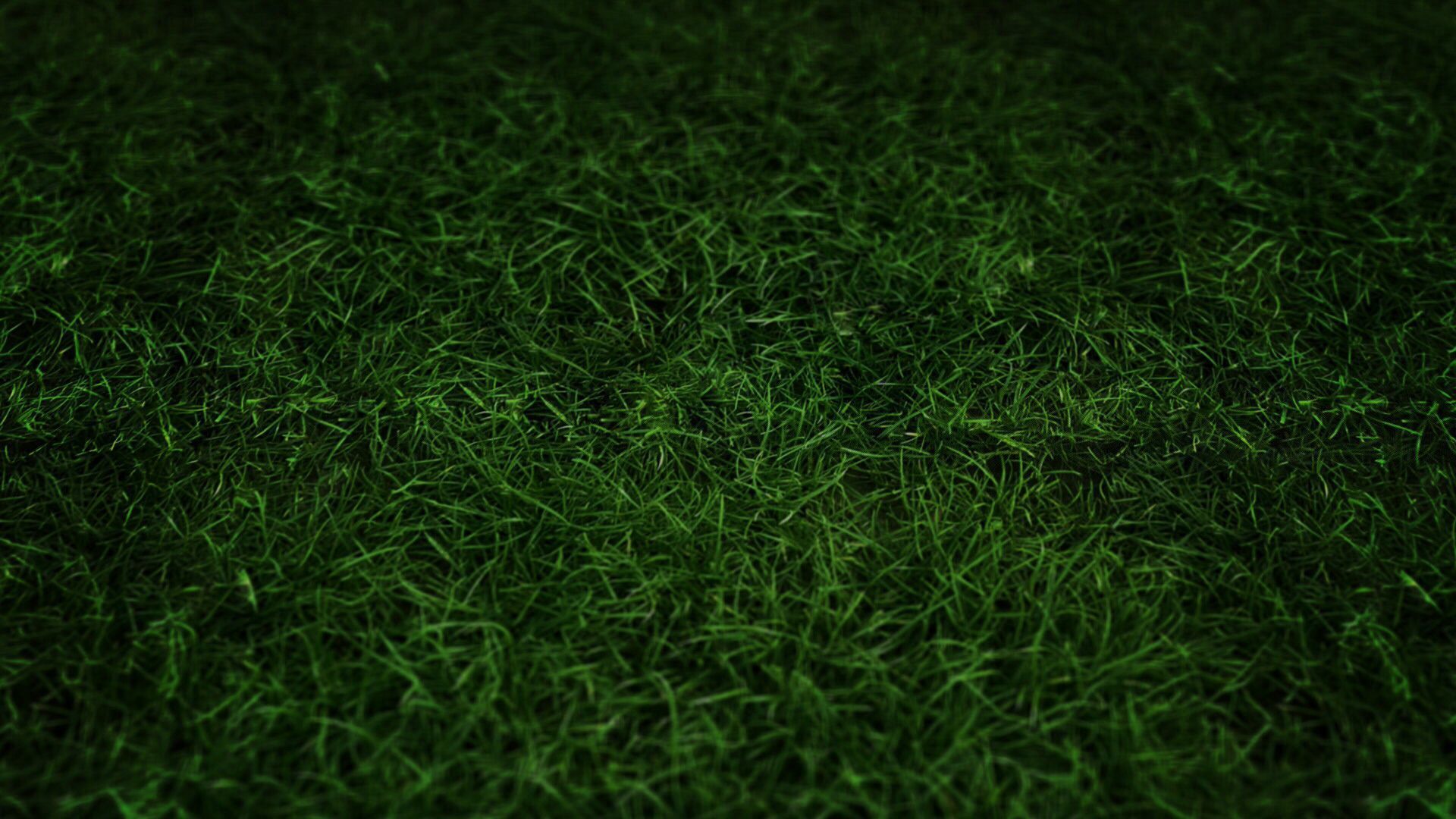 Dark Grass Wallpapers - Top Free Dark Grass Backgrounds - WallpaperAccess