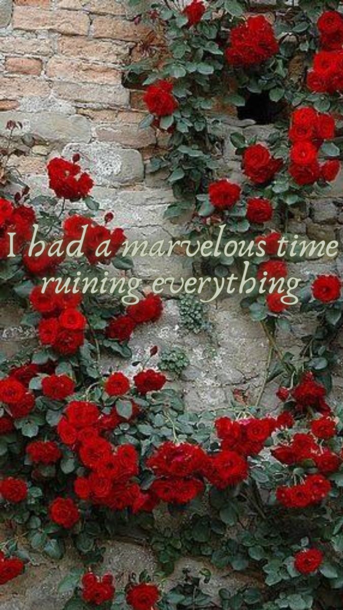 675x1200 Taylor swift lyrics, Taylor swift song