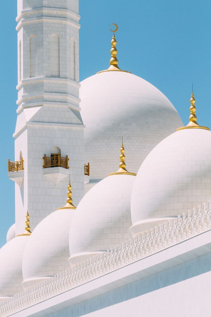 736x1104 Sheikh Zayed Grand Mosque. Moskee