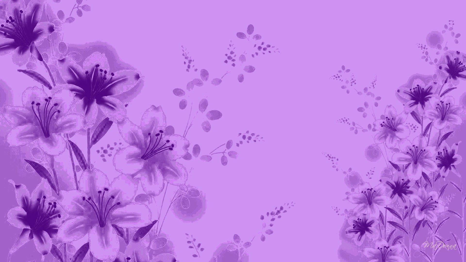 Lavender Aesthetic Wallpapers - Top Free Lavender Aesthetic Backgrounds