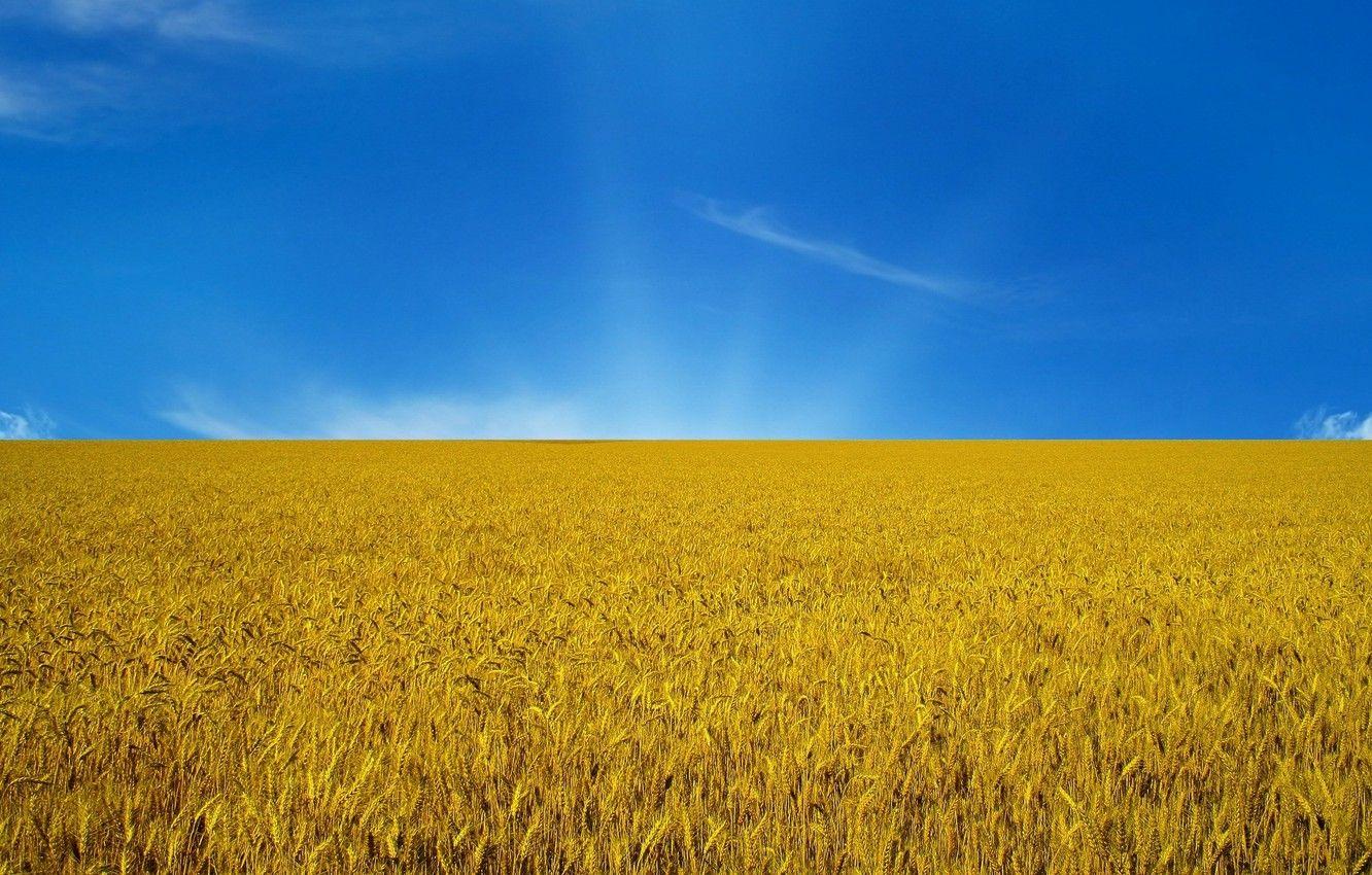 1332x850 Wallpaper the sky, flag, Ukraine, flag image for desktop