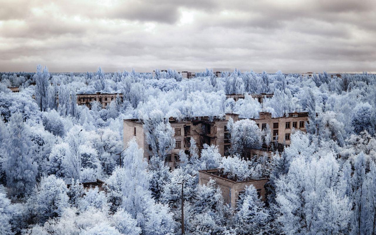 1280x800 Gray painted buildings on forest, infrared, photography