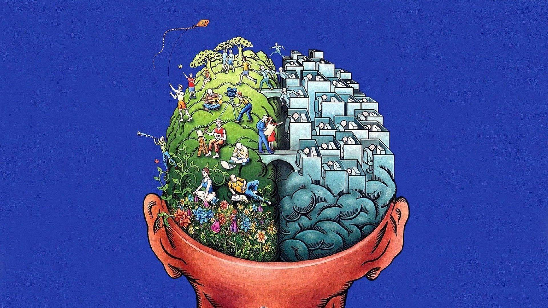 Human Brain Wallpaper