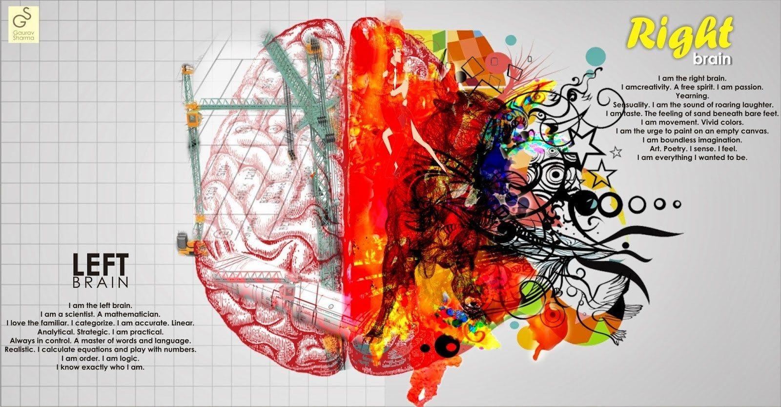 Brain Wallpapers Top Free Brain Backgrounds Wallpaperaccess