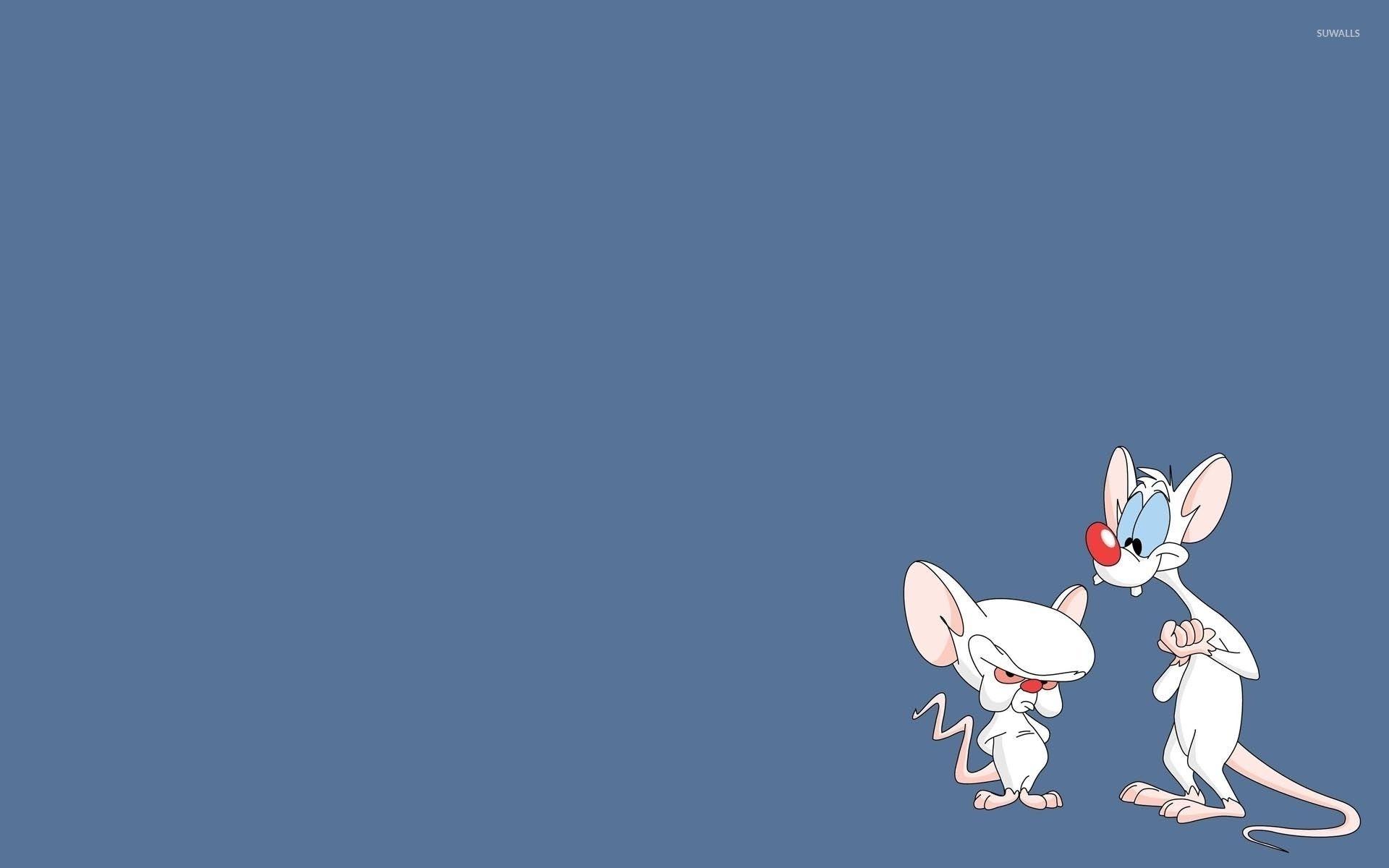 1920x1200 Pinky and Brain and the Brain wallpaper wallpaper