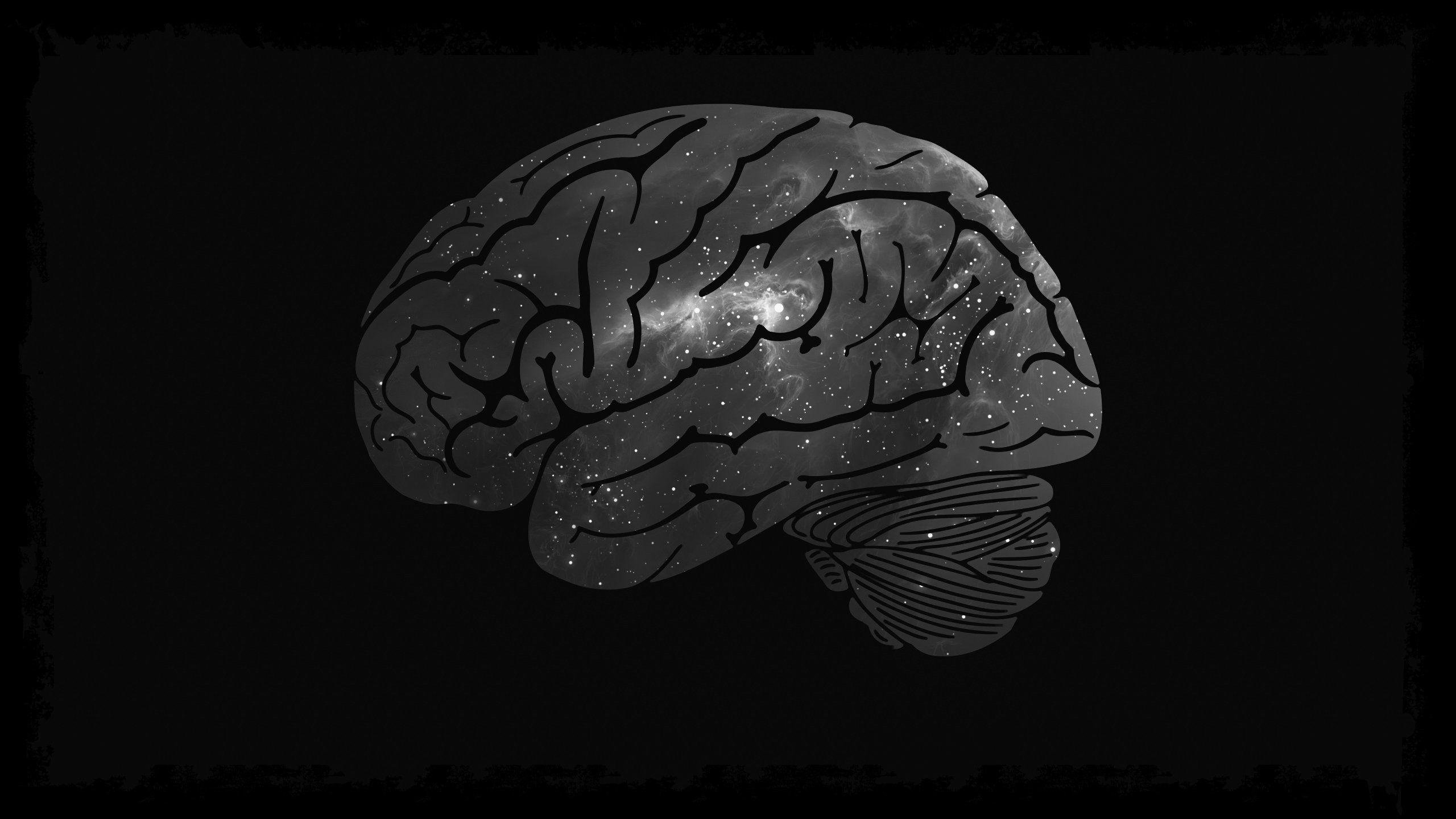 Papel De Parede Cerebro - BRAINCP