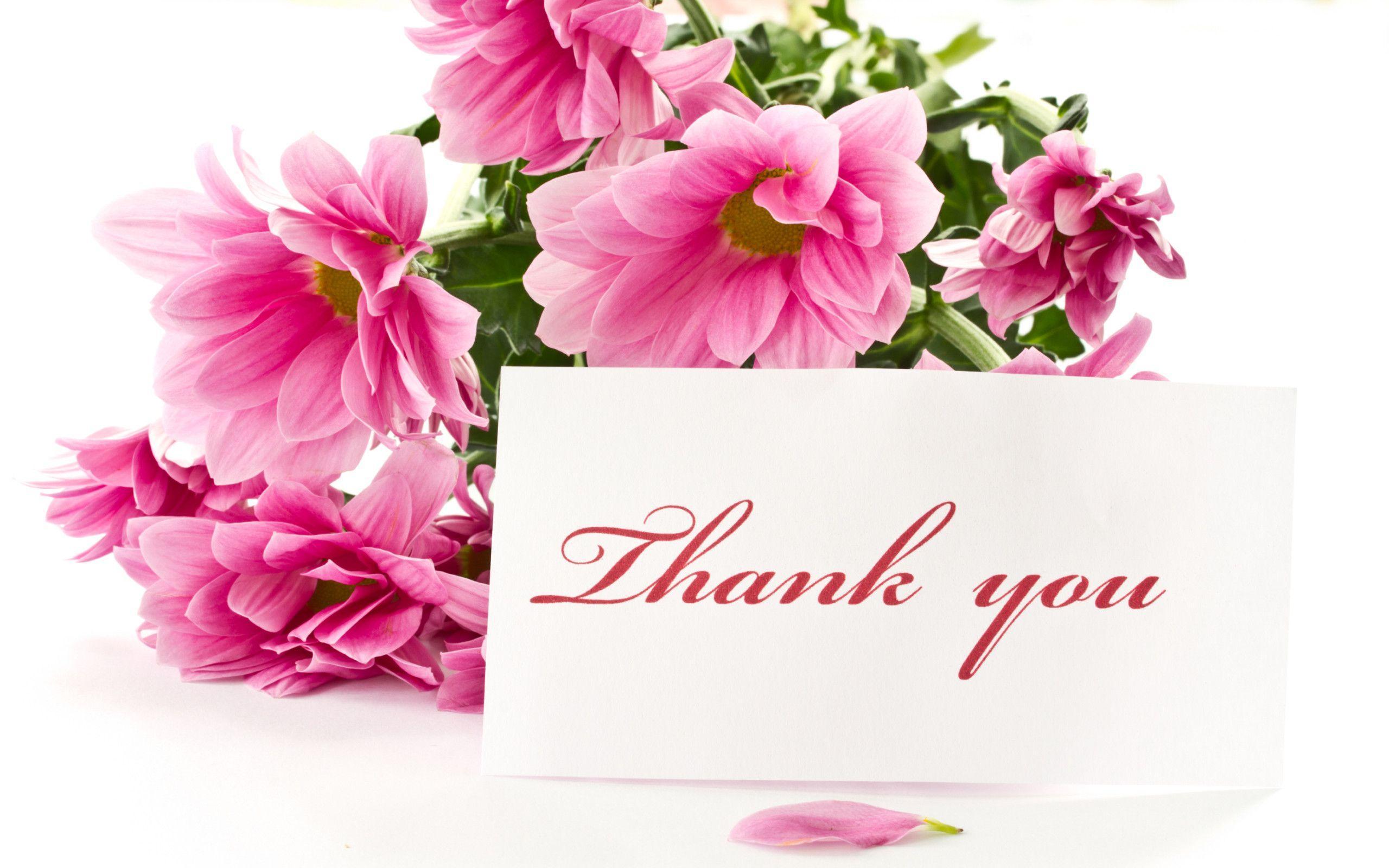 thank-you-card-wallpapers-top-free-thank-you-card-backgrounds