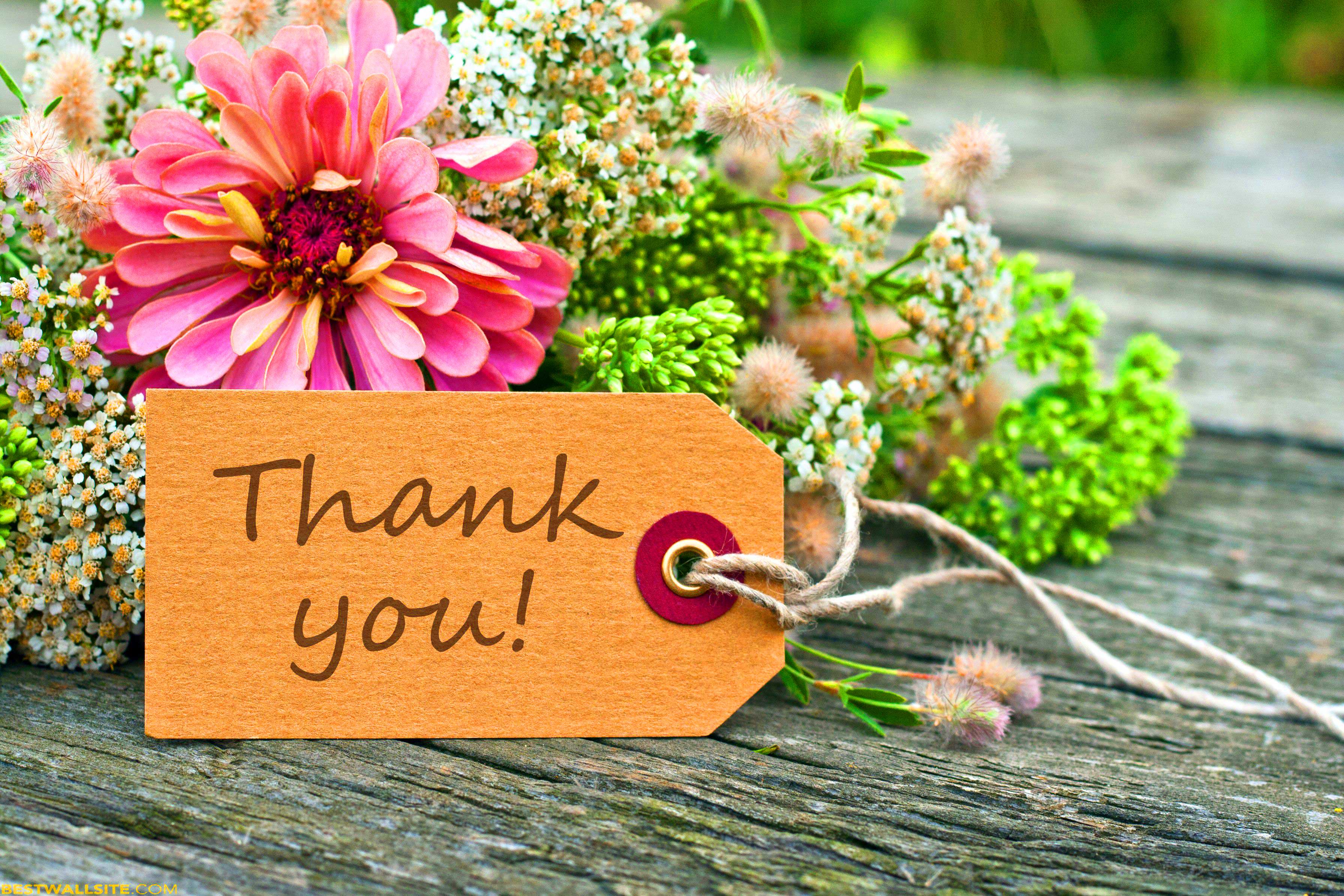 thank-you-wallpapers-top-nh-ng-h-nh-nh-p