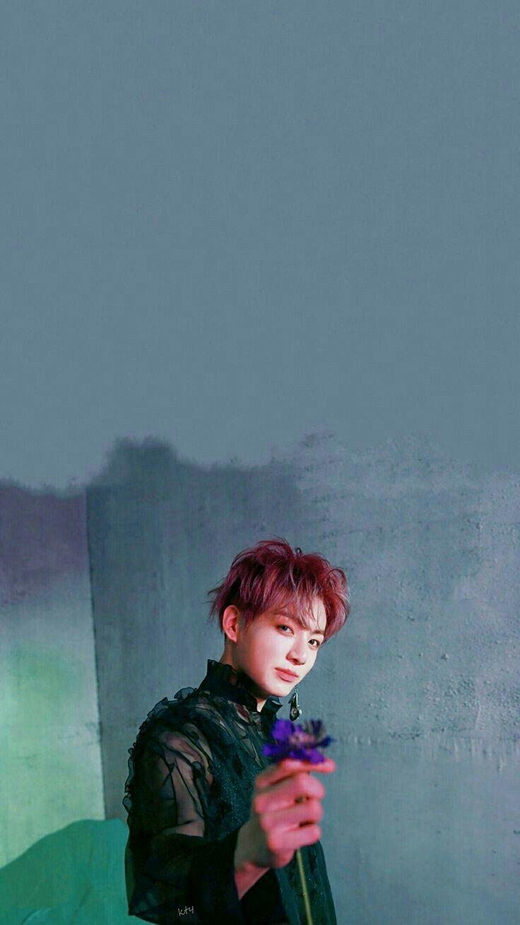 736x1308 Jungkook 2019 Wallpaper