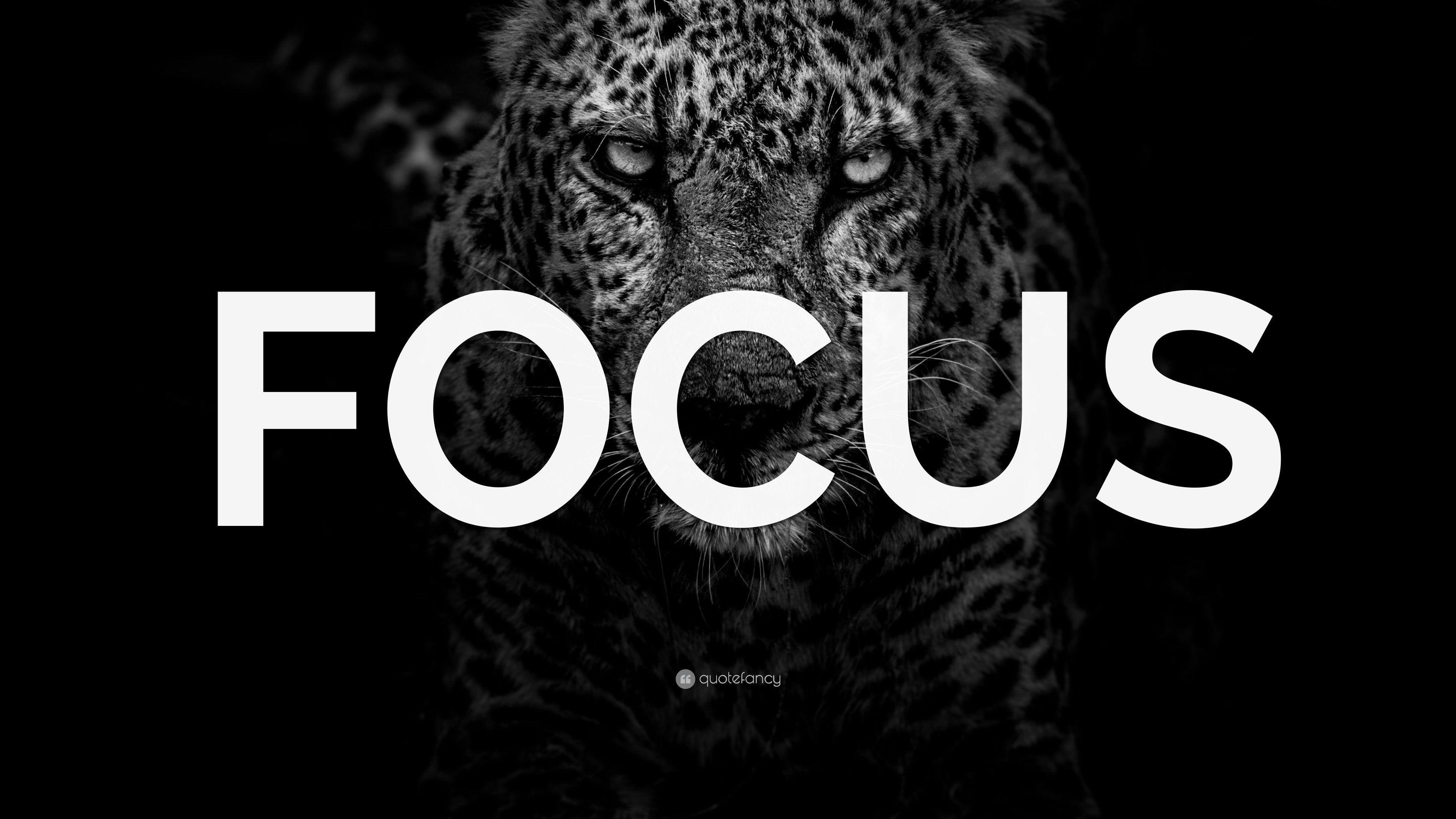 Focus Motivation Wallpapers Top Free Focus Motivation Backgrounds Focus Motivation Wallpapers Top Free Focus Motivation Backgrounds