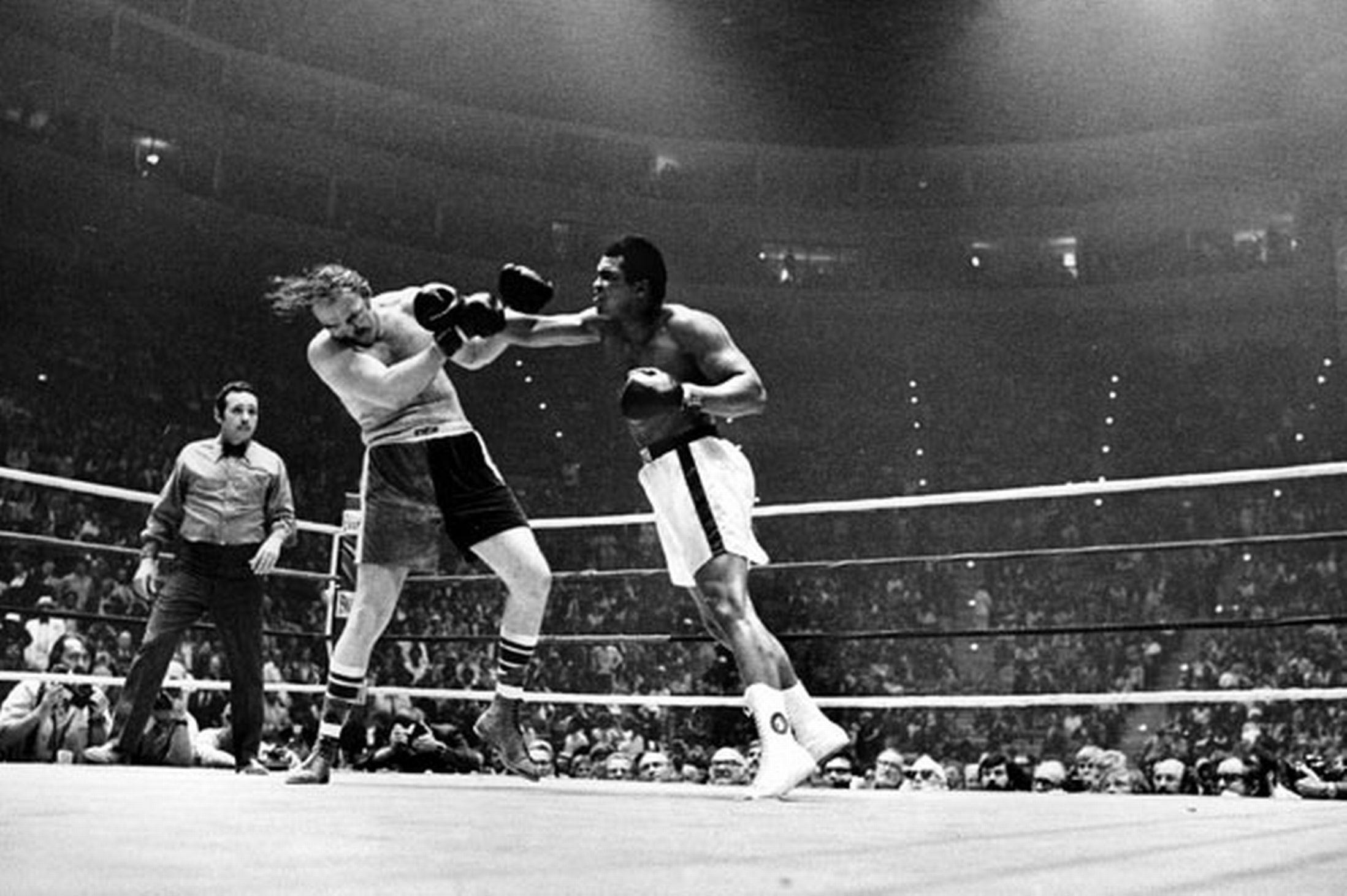 2197x1463 Mohamed Ali hình nền https://wallpaperaccess.com/full/1331505.jpg