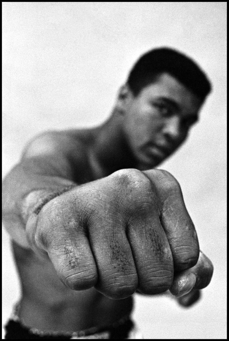 801x1193 PJV 8596 Ali HD Picture