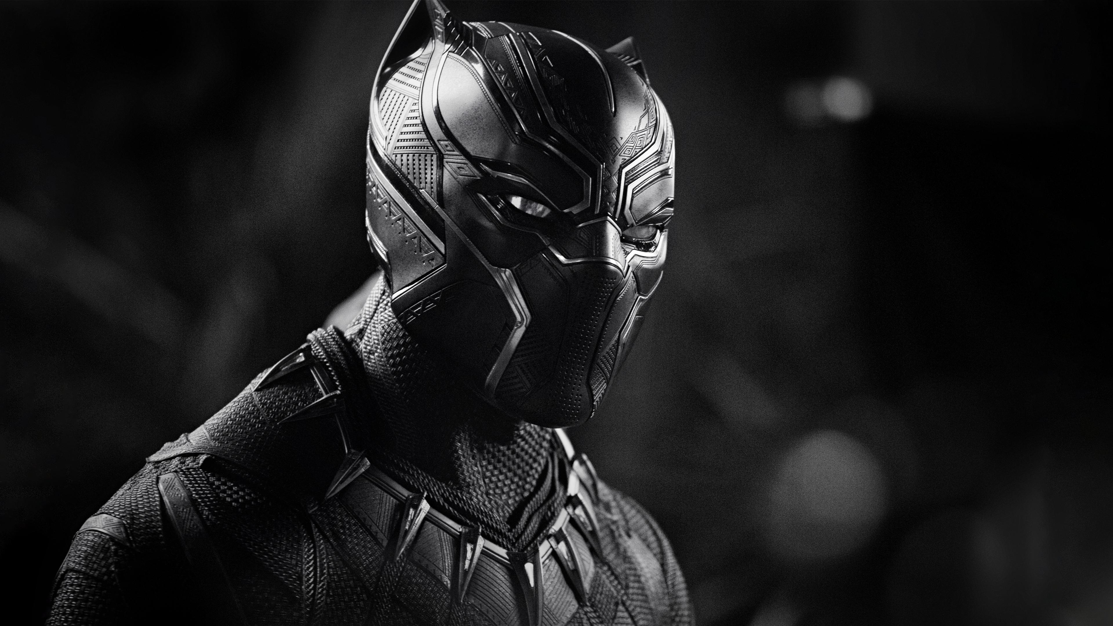 3840x2160 Black Panther Monochrome 4k, HD Movies, 4k Wallpaper