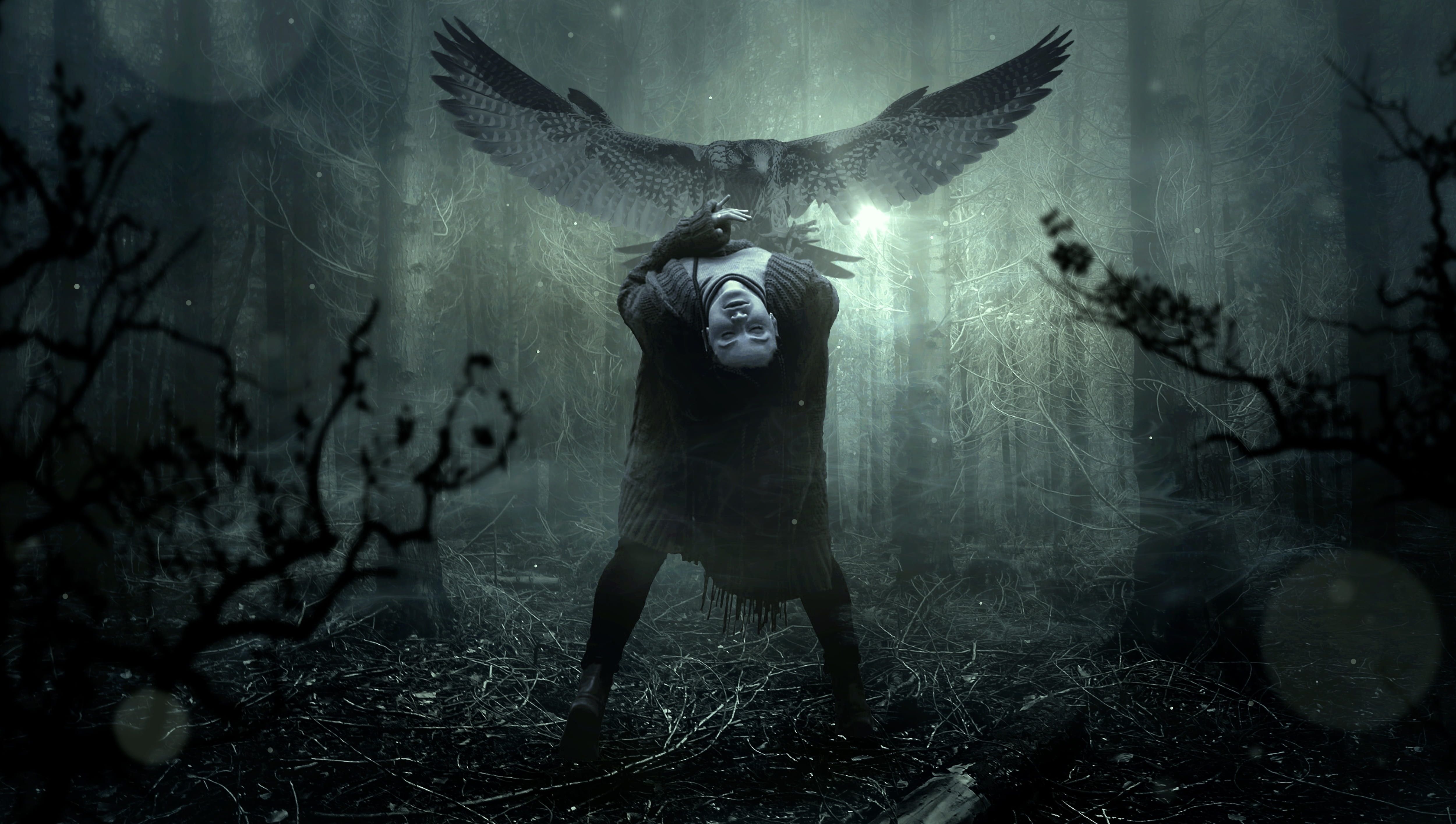 5000x2830 near bird digital wallpaper
