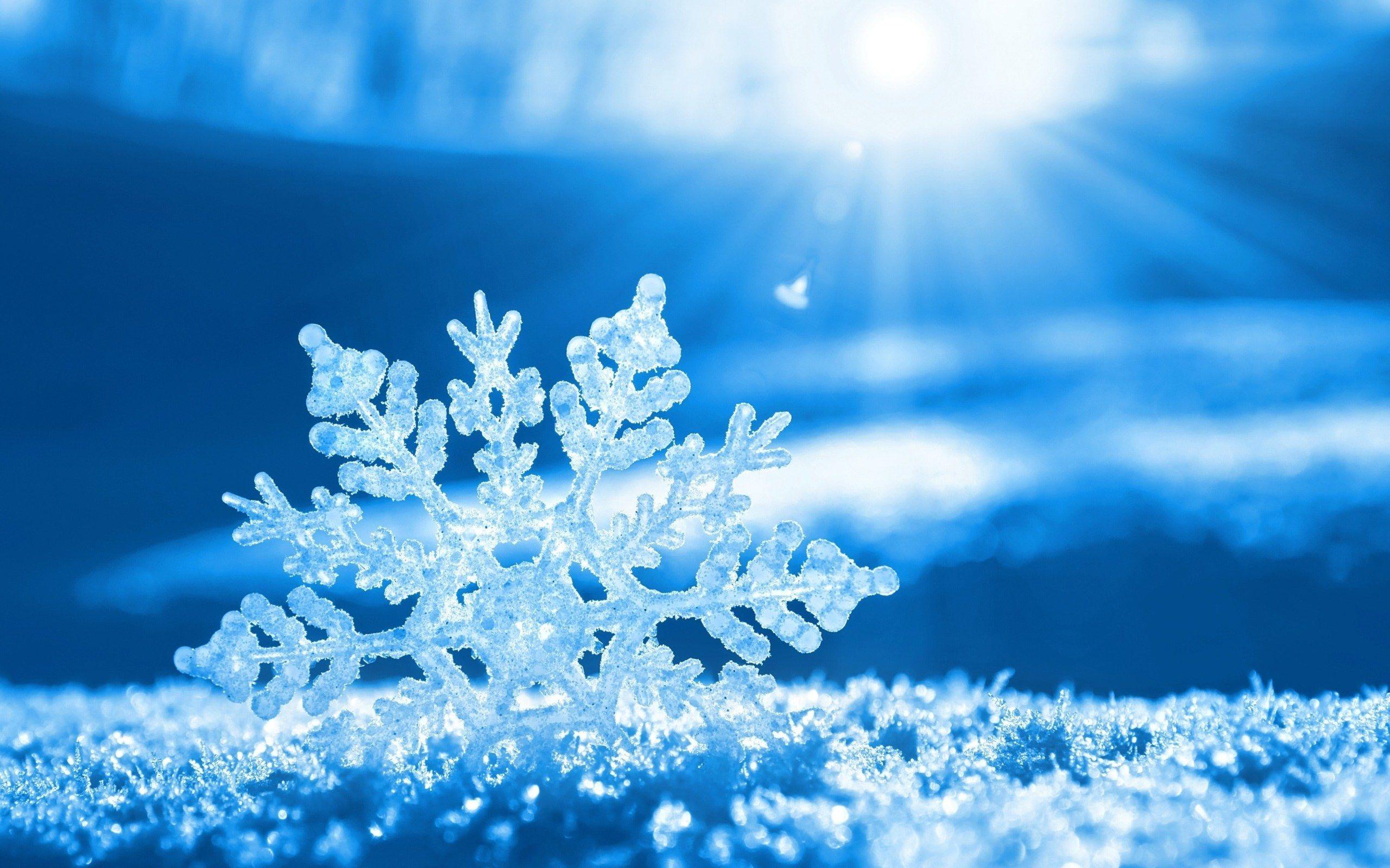 Snowflake Wallpapers - Top Free Snowflake Backgrounds - WallpaperAccess