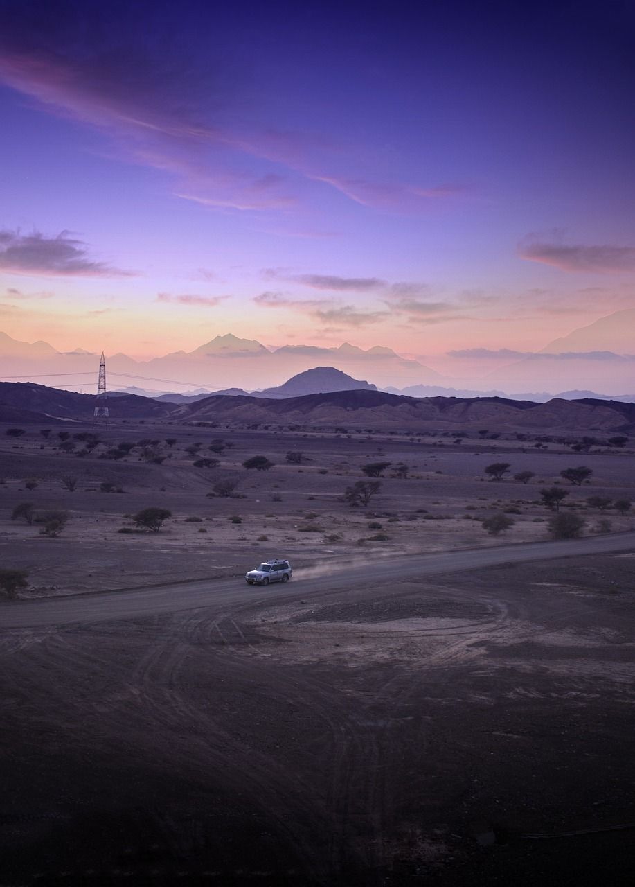 917x1280 Deert Sunset Drive