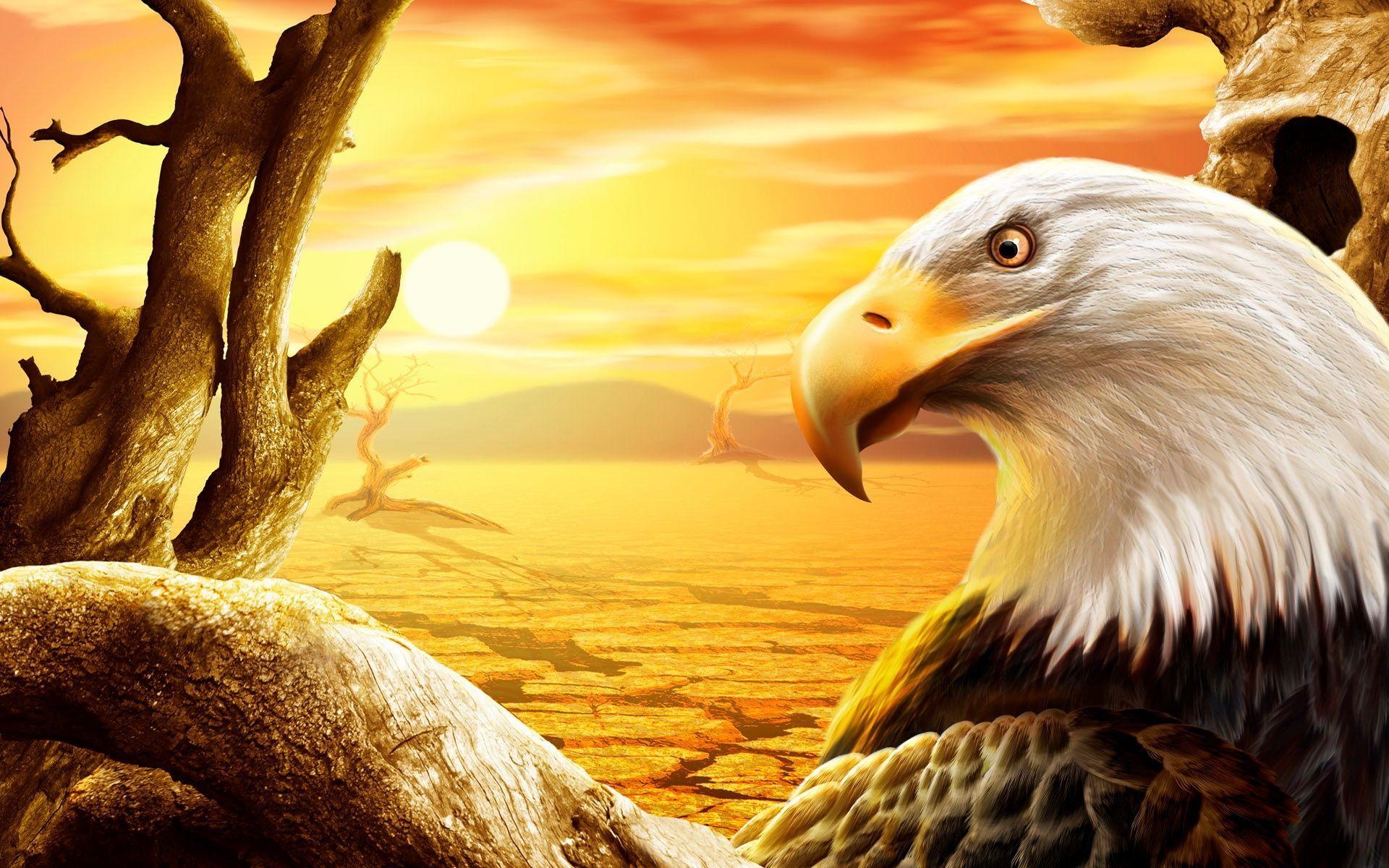 Eagle Astronaut Wallpapers - Top Free Eagle Astronaut Backgrounds -  WallpaperAccess