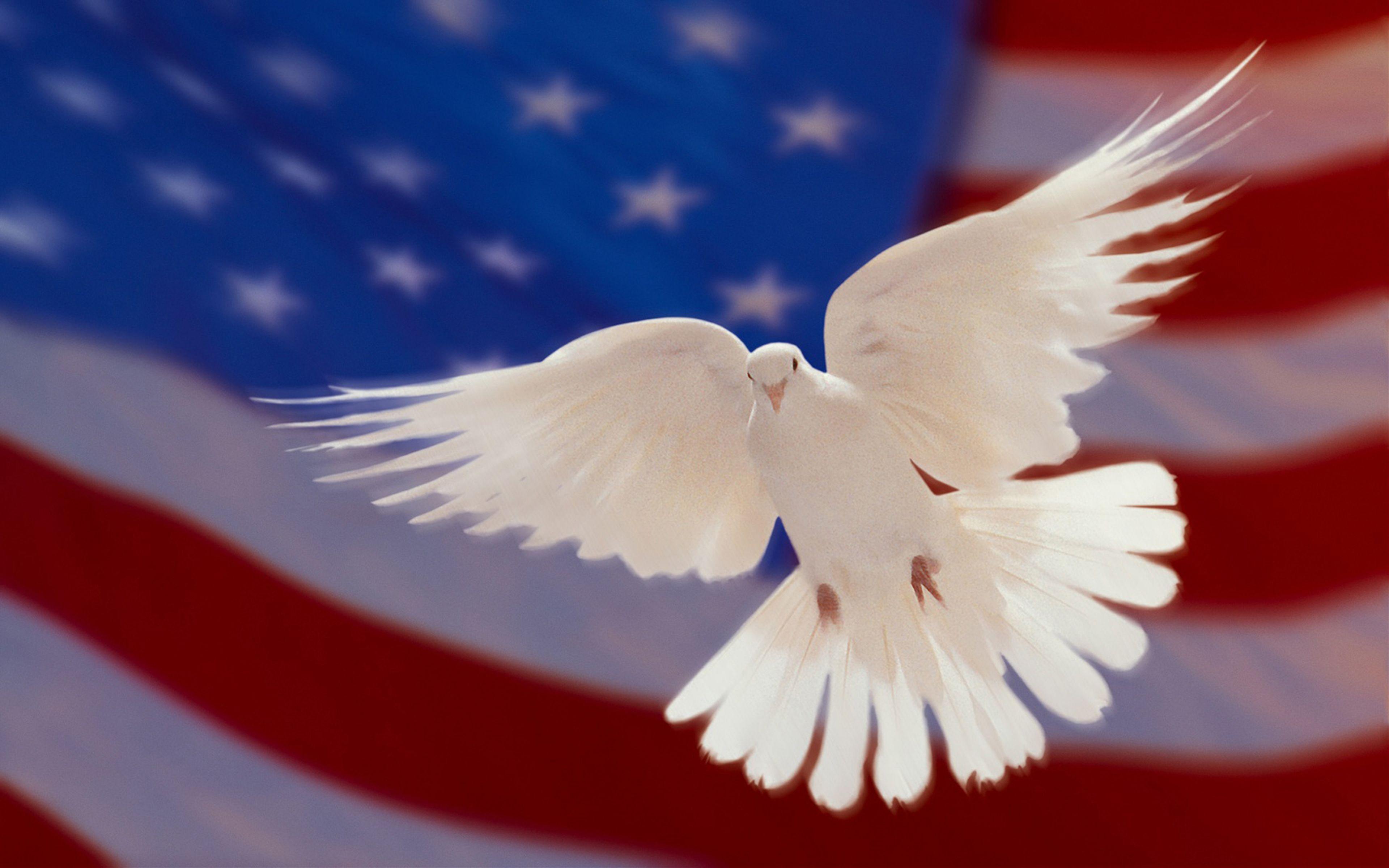 3840x2400 American Flag And White Dove Of Peace HD Wallpaper