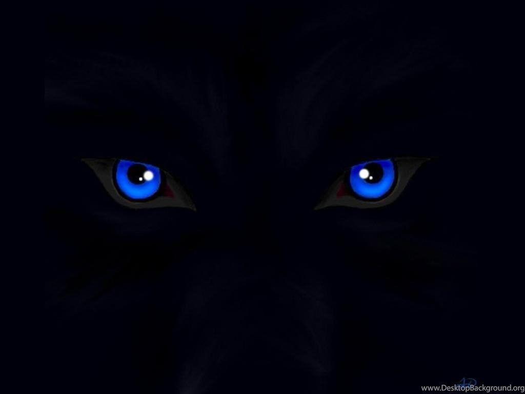 1024x768 Wolf Eyes Wallpaper