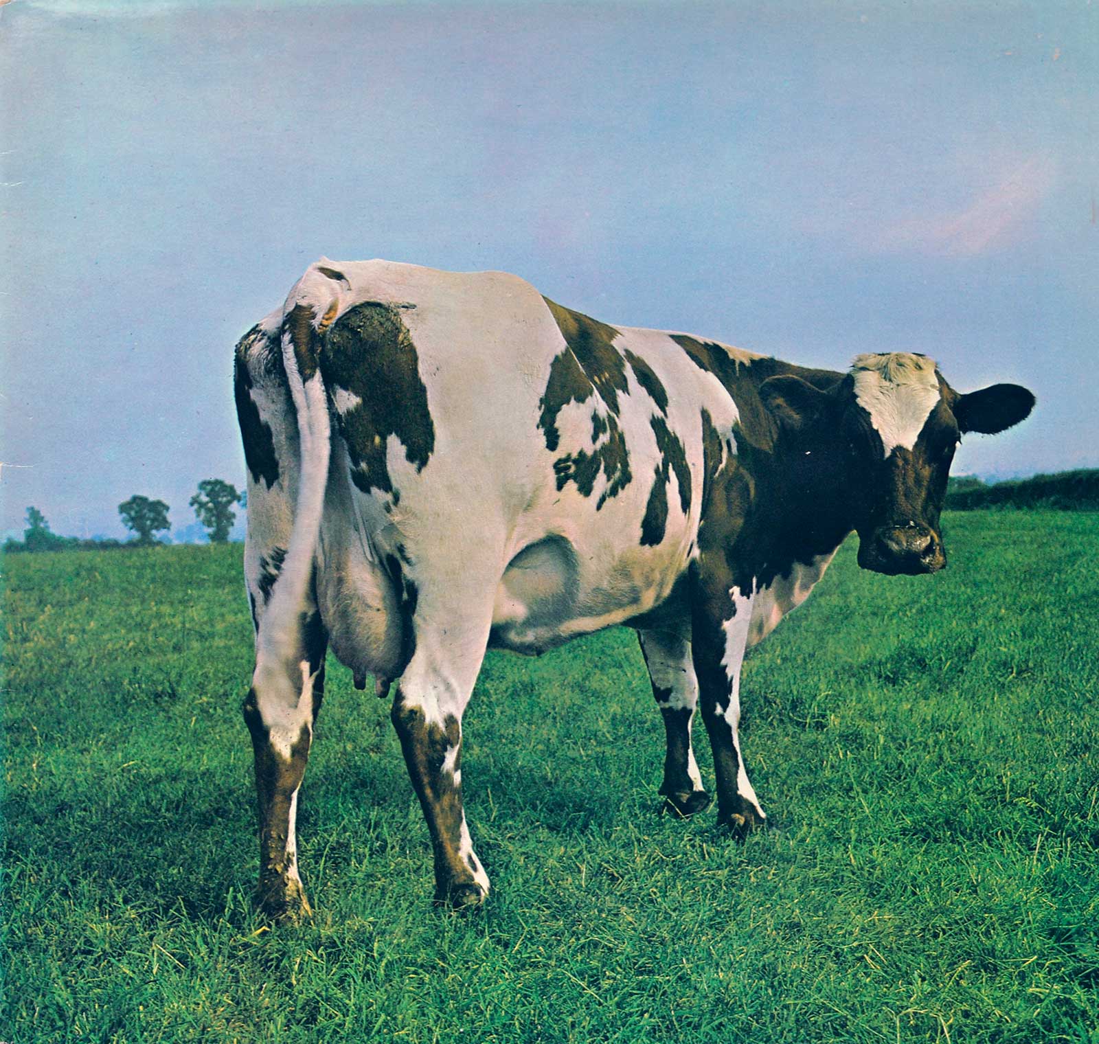 1600x1520 PINK FLOYD Atom Heart Mother Horzu