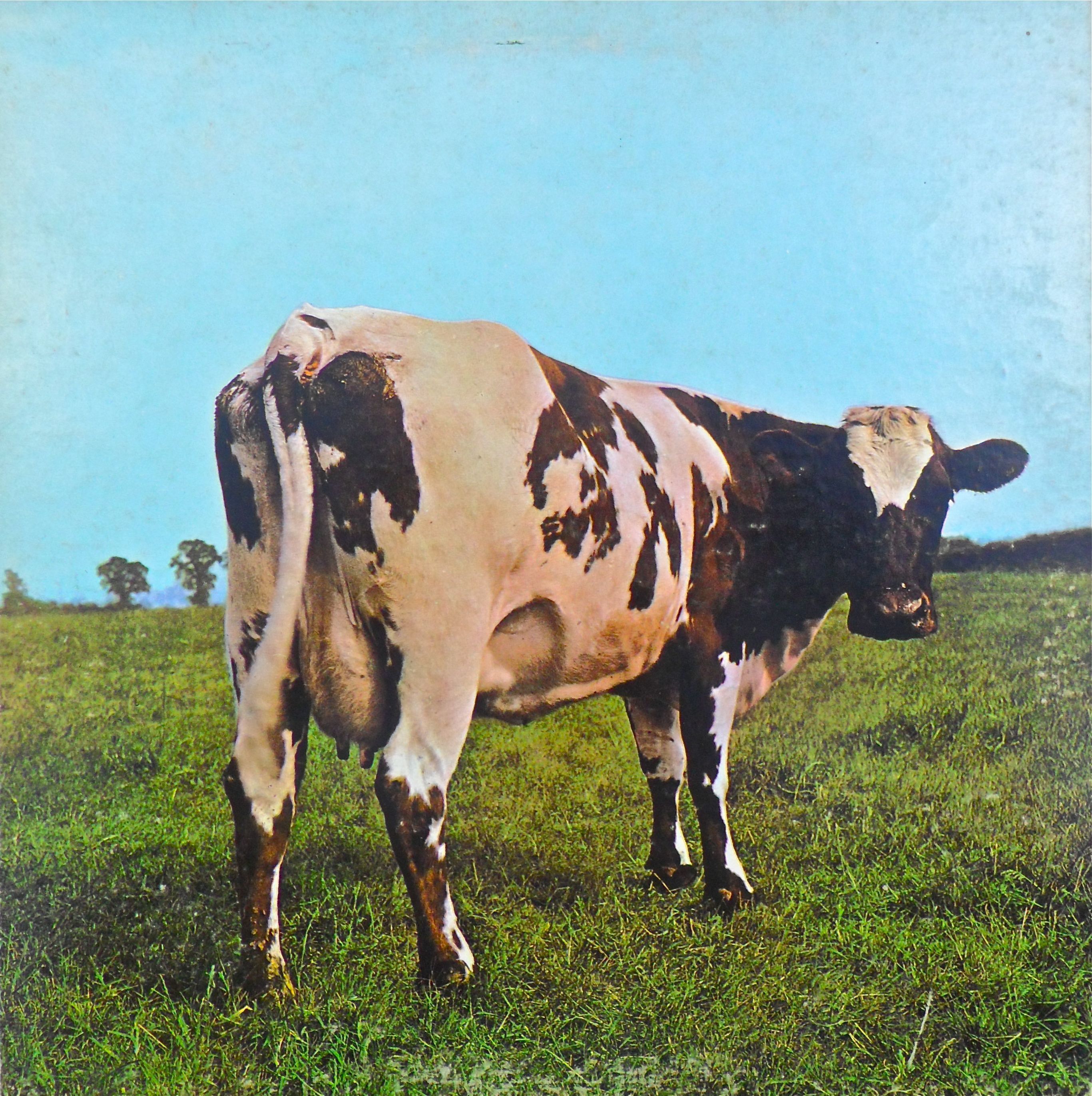 2732x2741 Pink Floyd