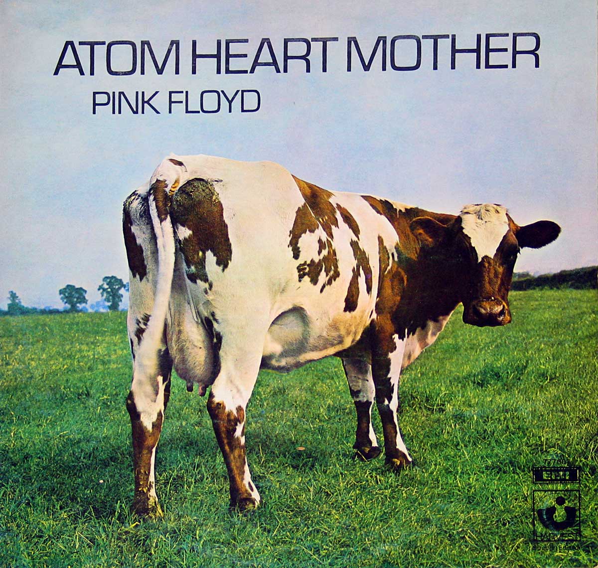 Atom Heart Mother Wallpapers - Top Free Atom Heart Mother Backgrounds ...