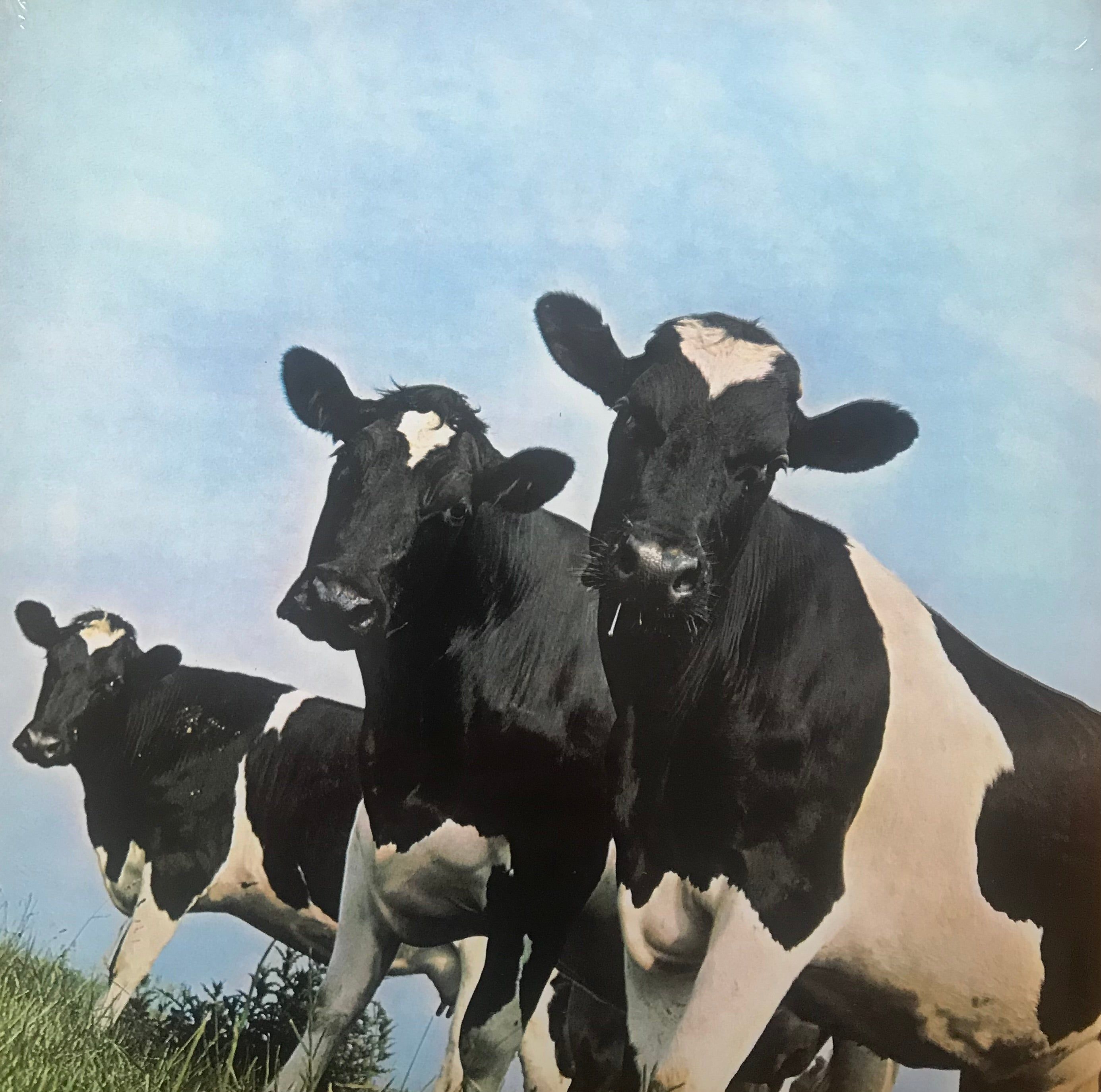 2770x2748 Pink Floyd Heart Mother (Vinyl LP)