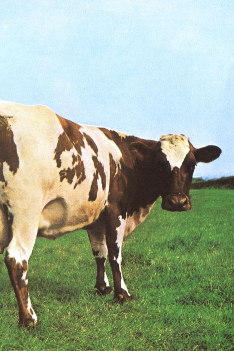 750x1125 ATOM HEART MOTHER