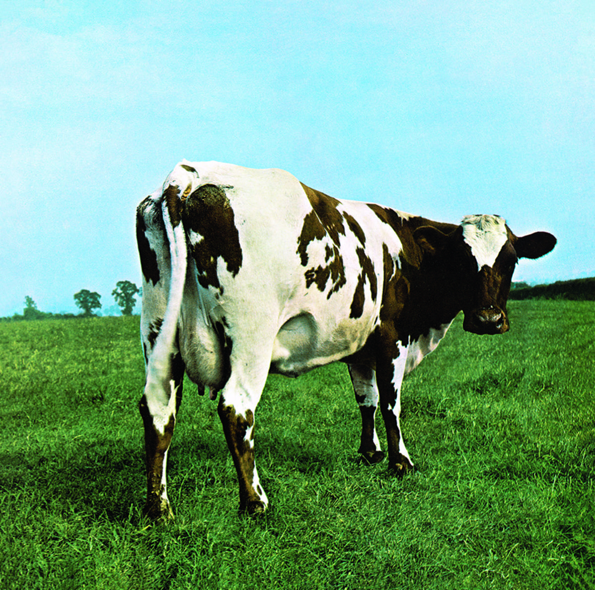 1200x1190 Atom Heart Mother' dei Pink Floyd
