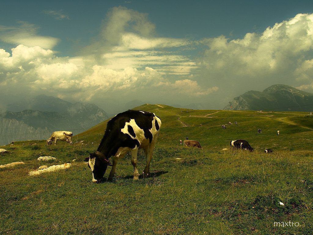 1024x768 Atom Heart Mother. Monte Baldo Lago